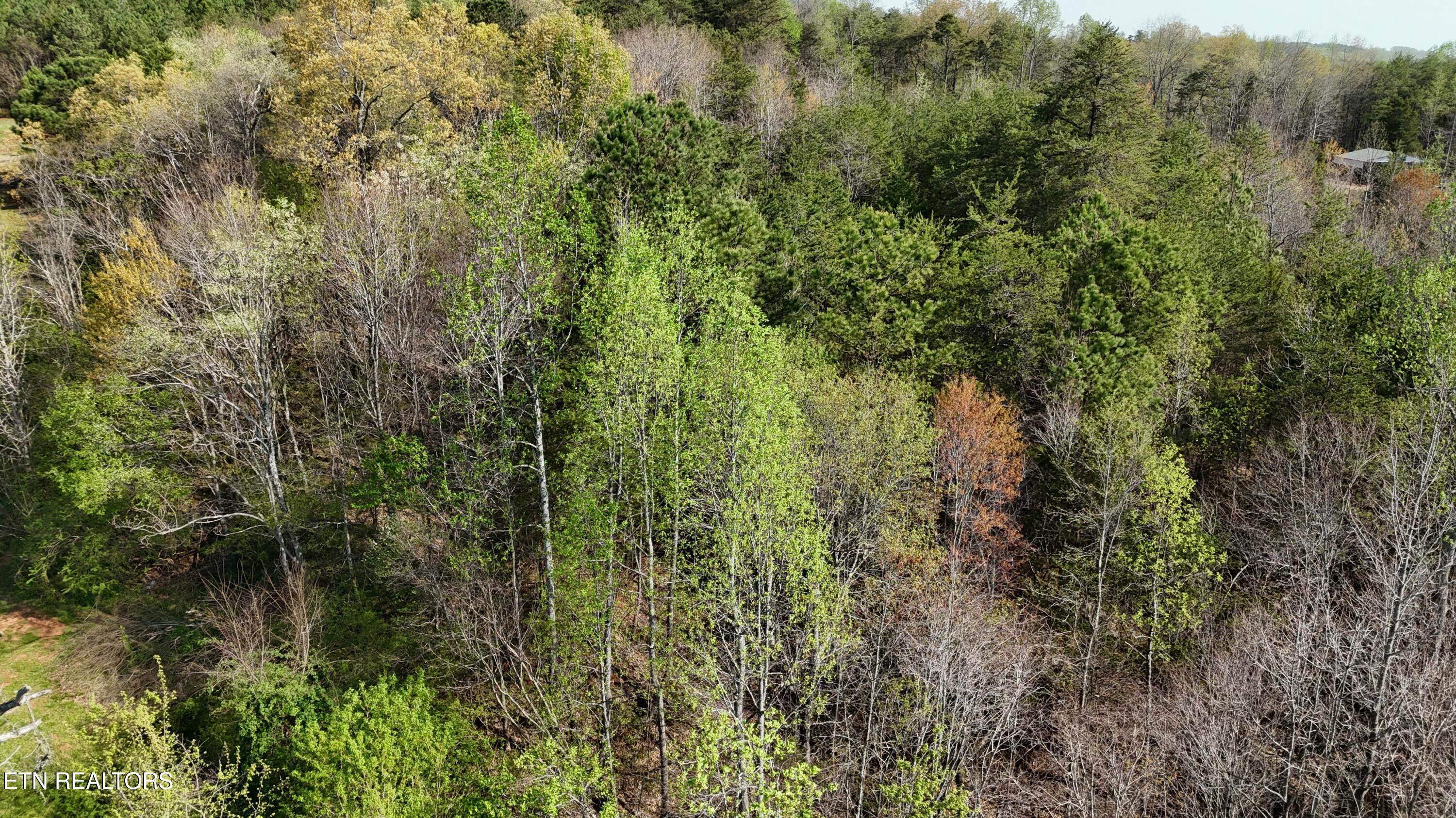 0000 County Road 675 Athens TN 37303