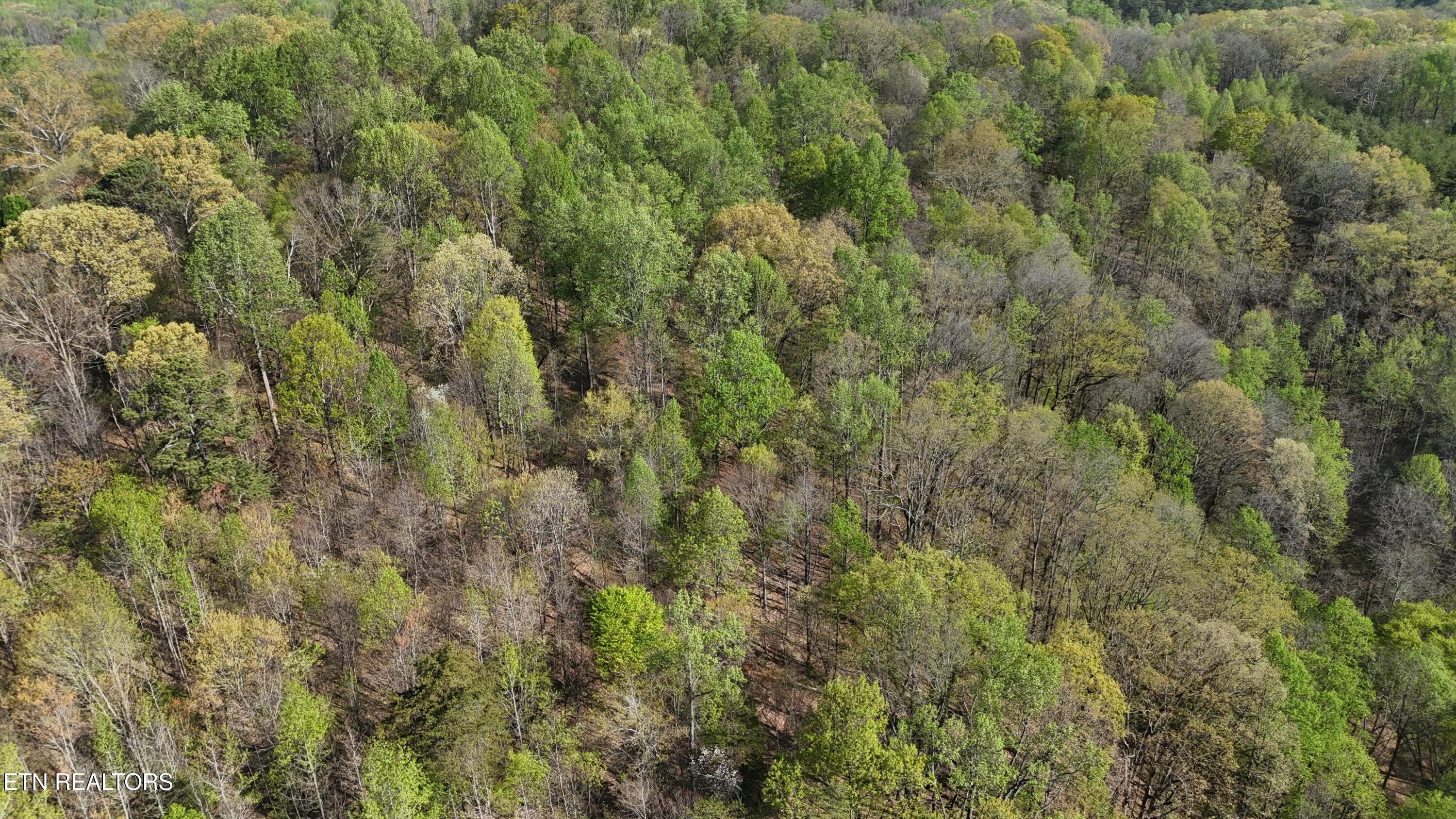 0000 County Road 675 Athens TN 37303