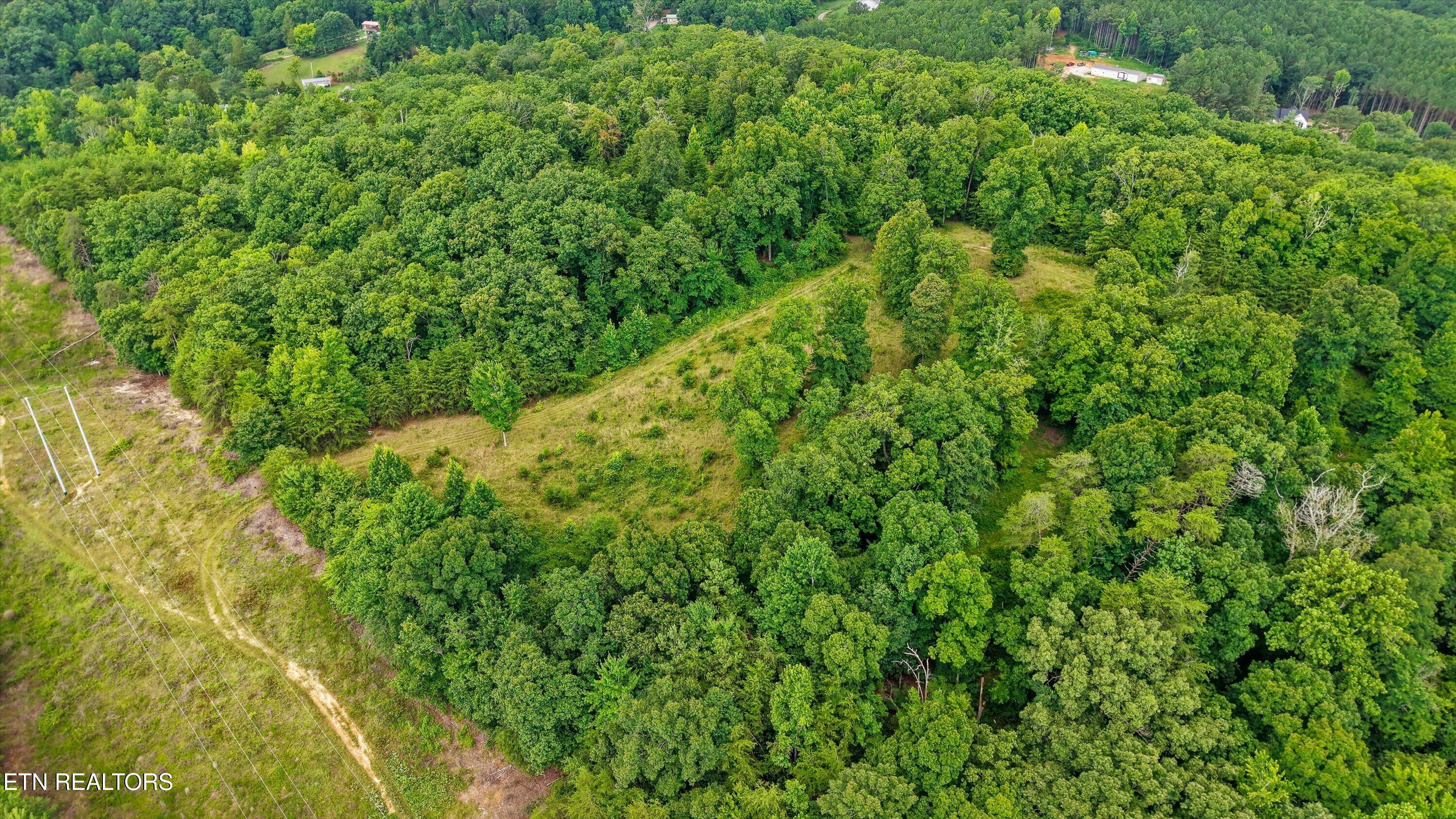 0 Pin Hook Road Spring City TN 37381