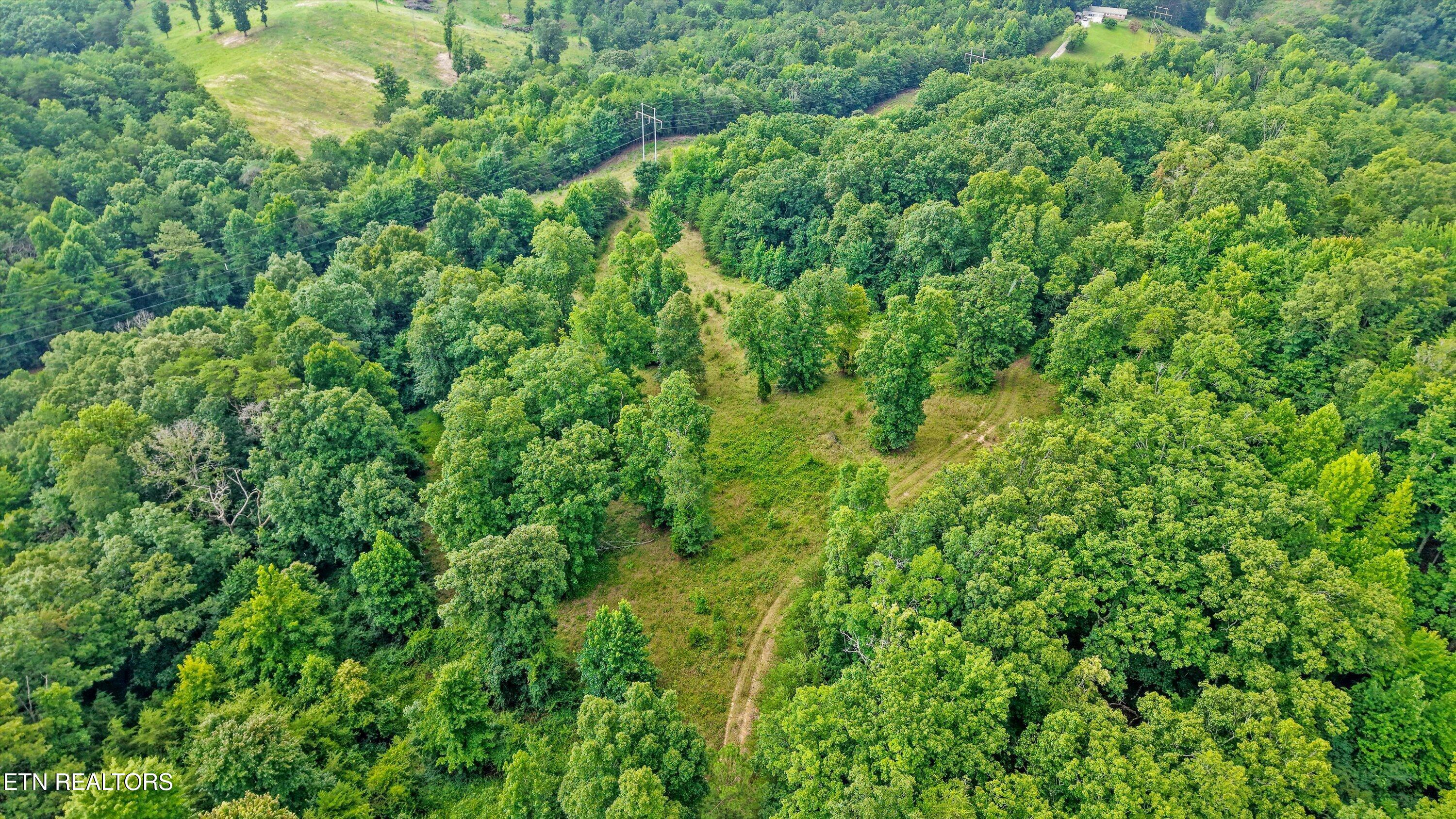 0 Pin Hook Road Spring City TN 37381