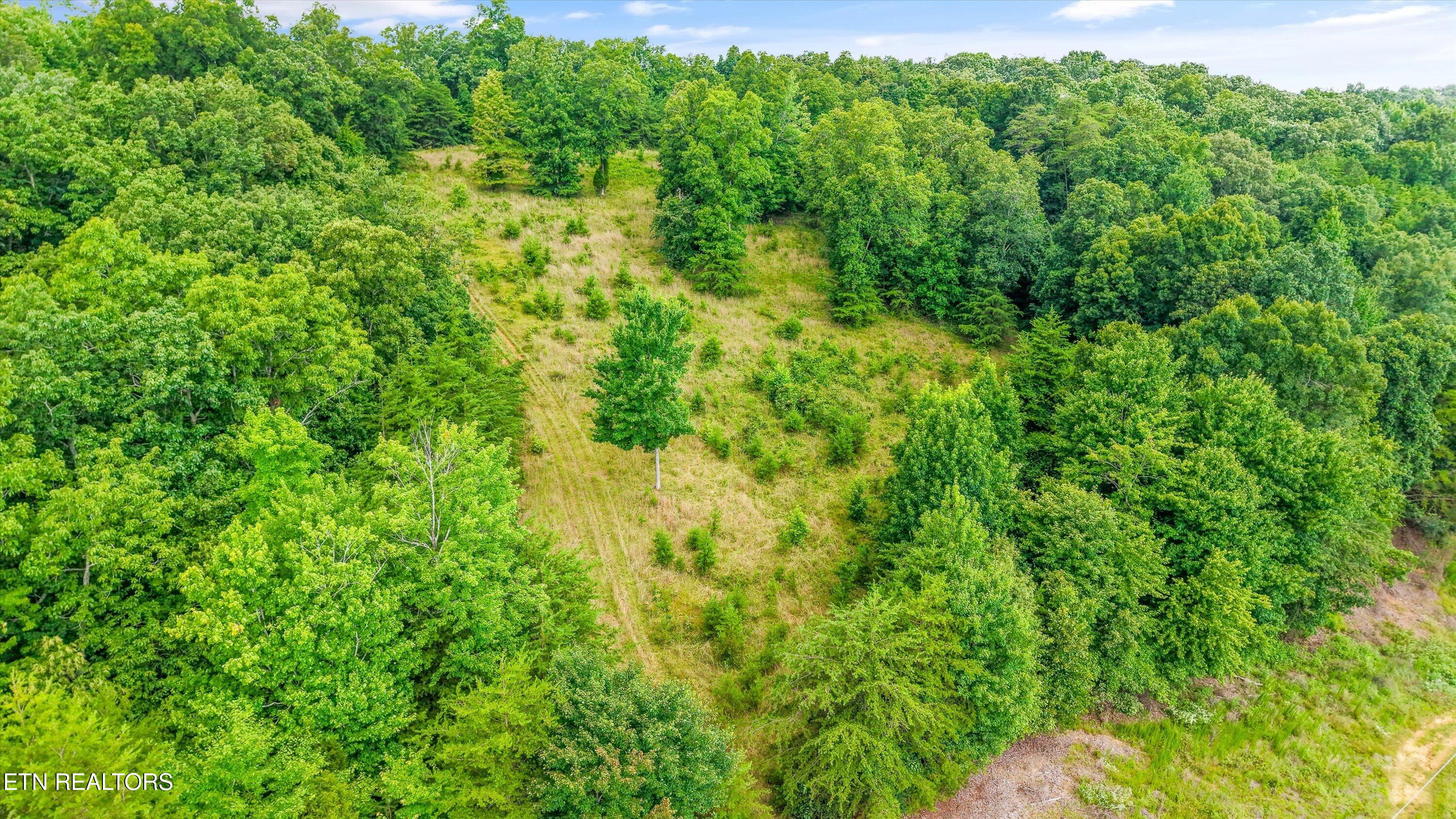 0 Pin Hook Road Spring City TN 37381