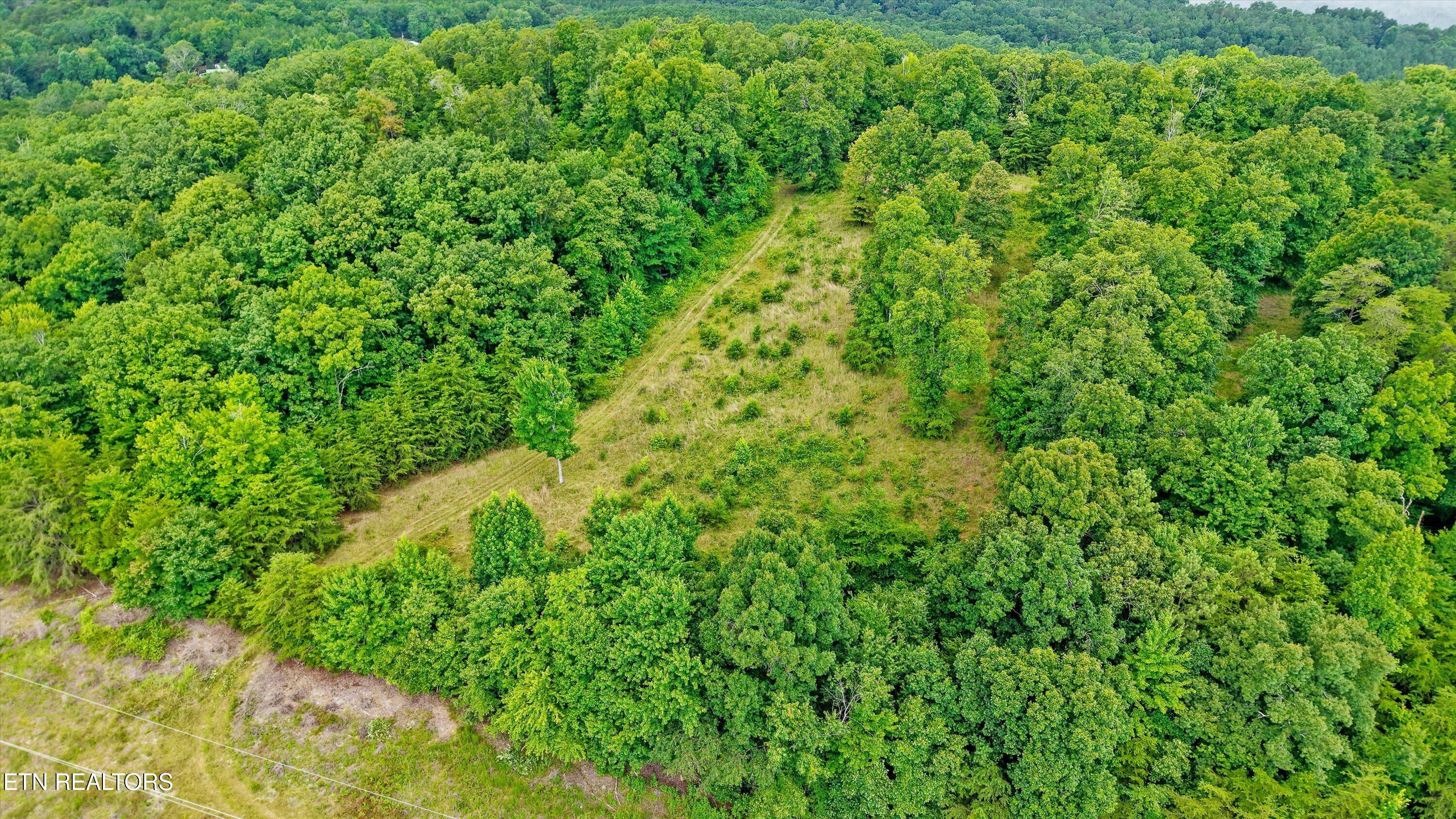 0 Pin Hook Road Spring City TN 37381