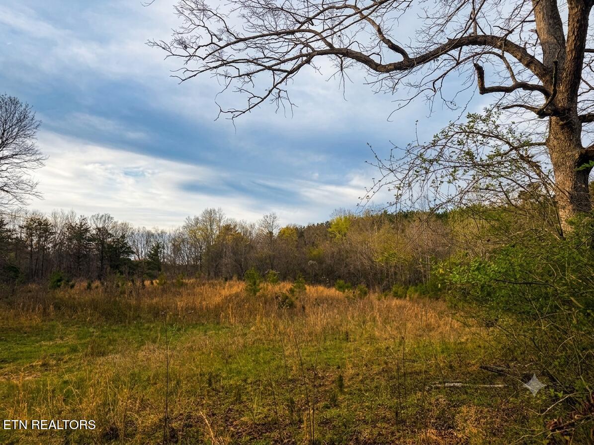 0 Pin Hook Road Spring City TN 37381