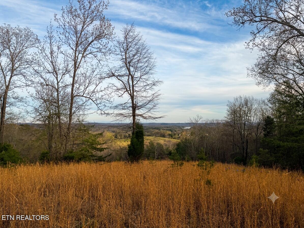 0 Pin Hook Road Spring City TN 37381