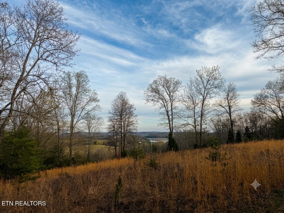 0 Pin Hook Road Spring City TN 37381