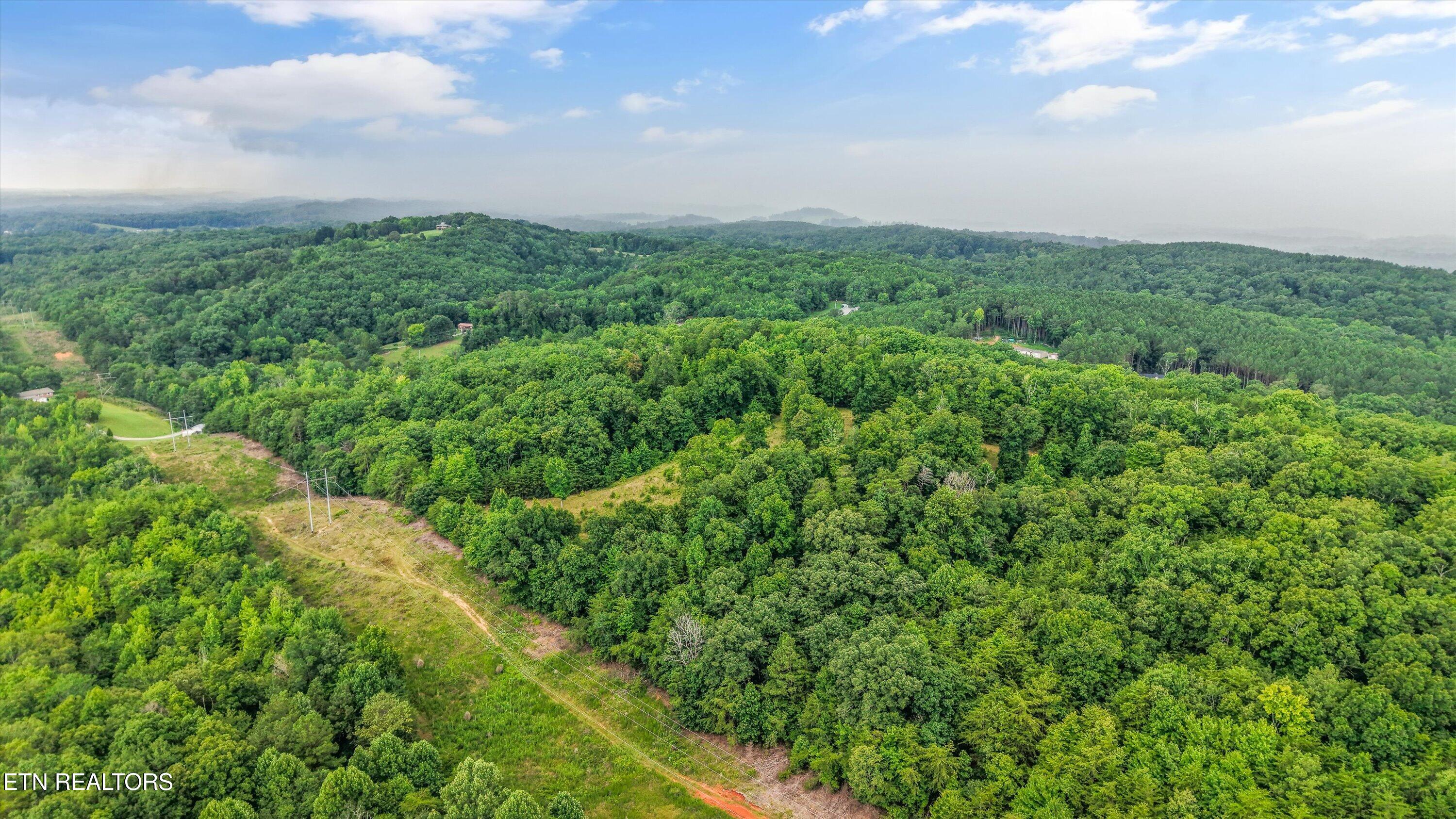 0 Pin Hook Road Spring City TN 37381