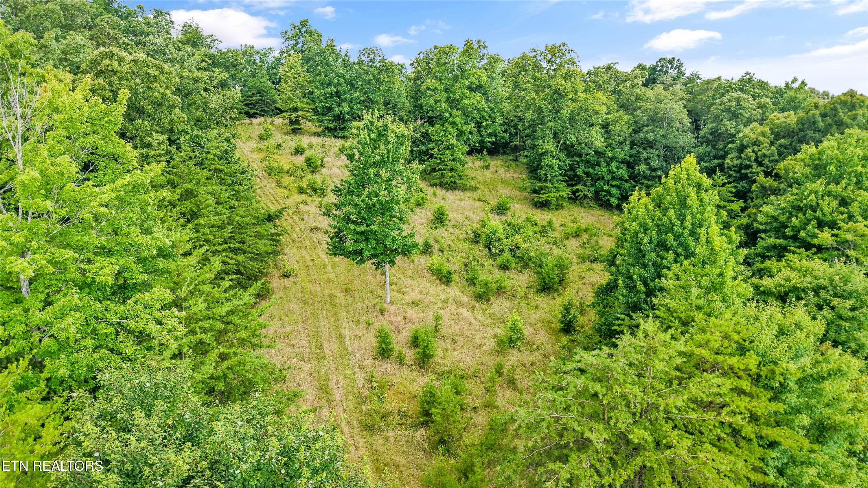 0 Pin Hook Road Spring City TN 37381