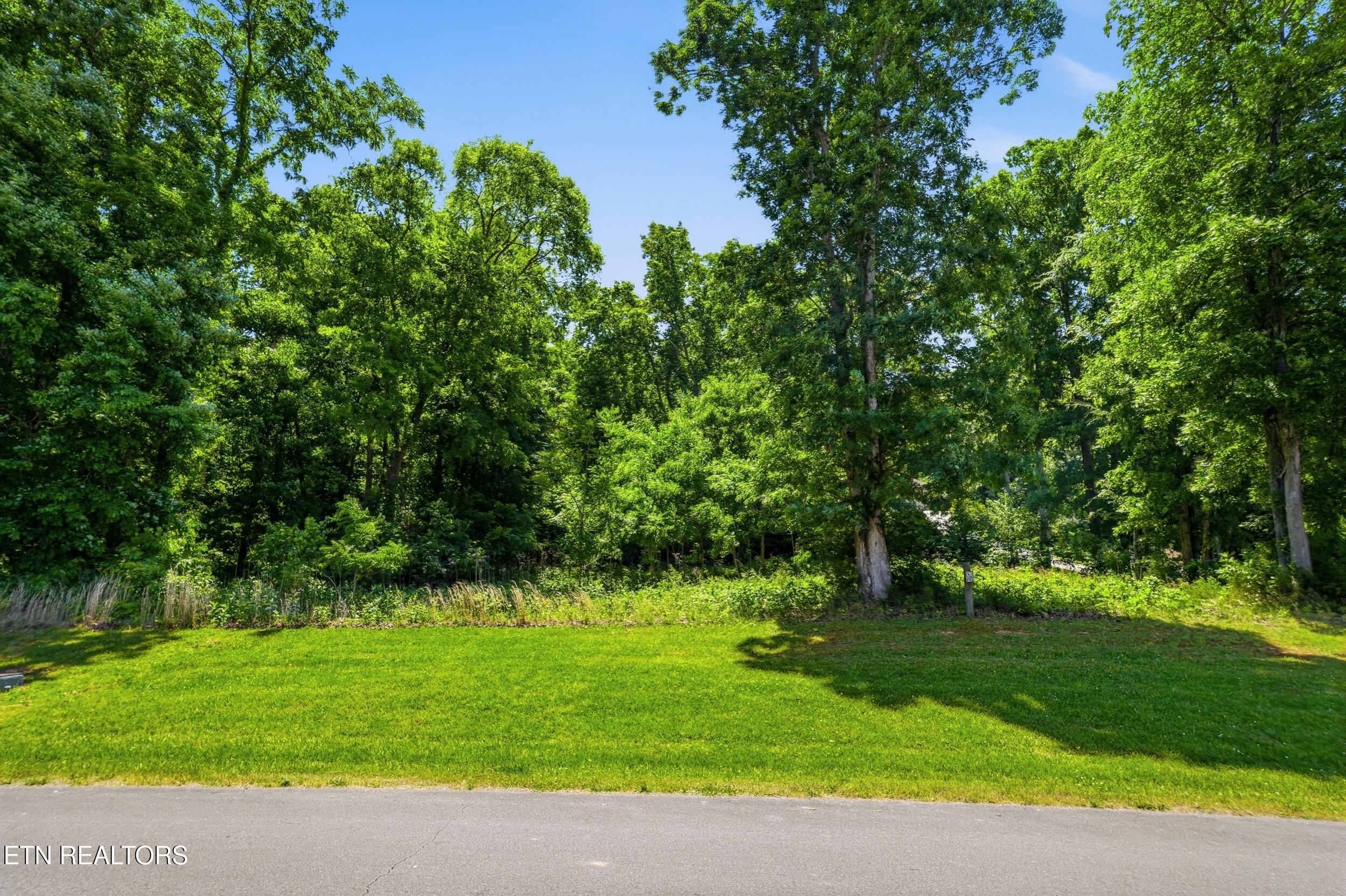 3402 Lanyard Lane Louisville TN 37777