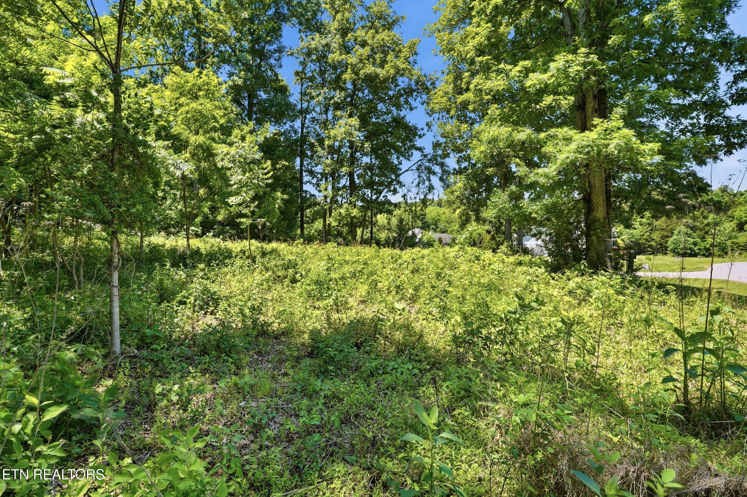 3402 Lanyard Lane Louisville TN 37777