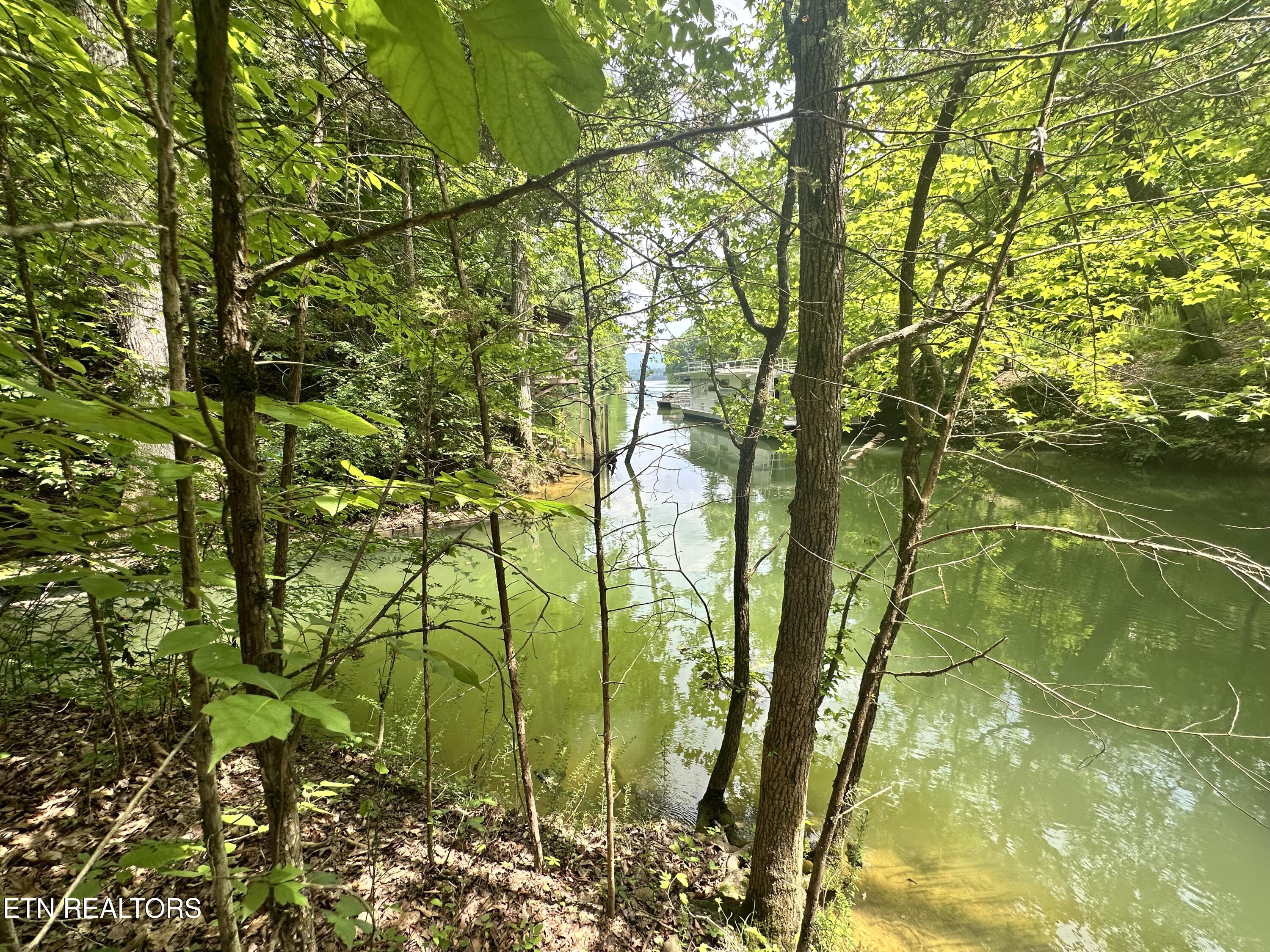 Woods Ridge Road Dandridge TN 37725