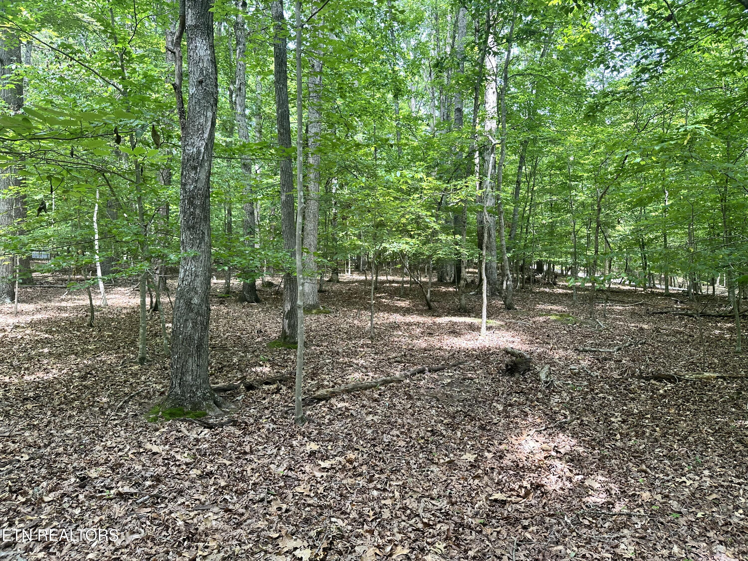 Woods Ridge Road Dandridge TN 37725