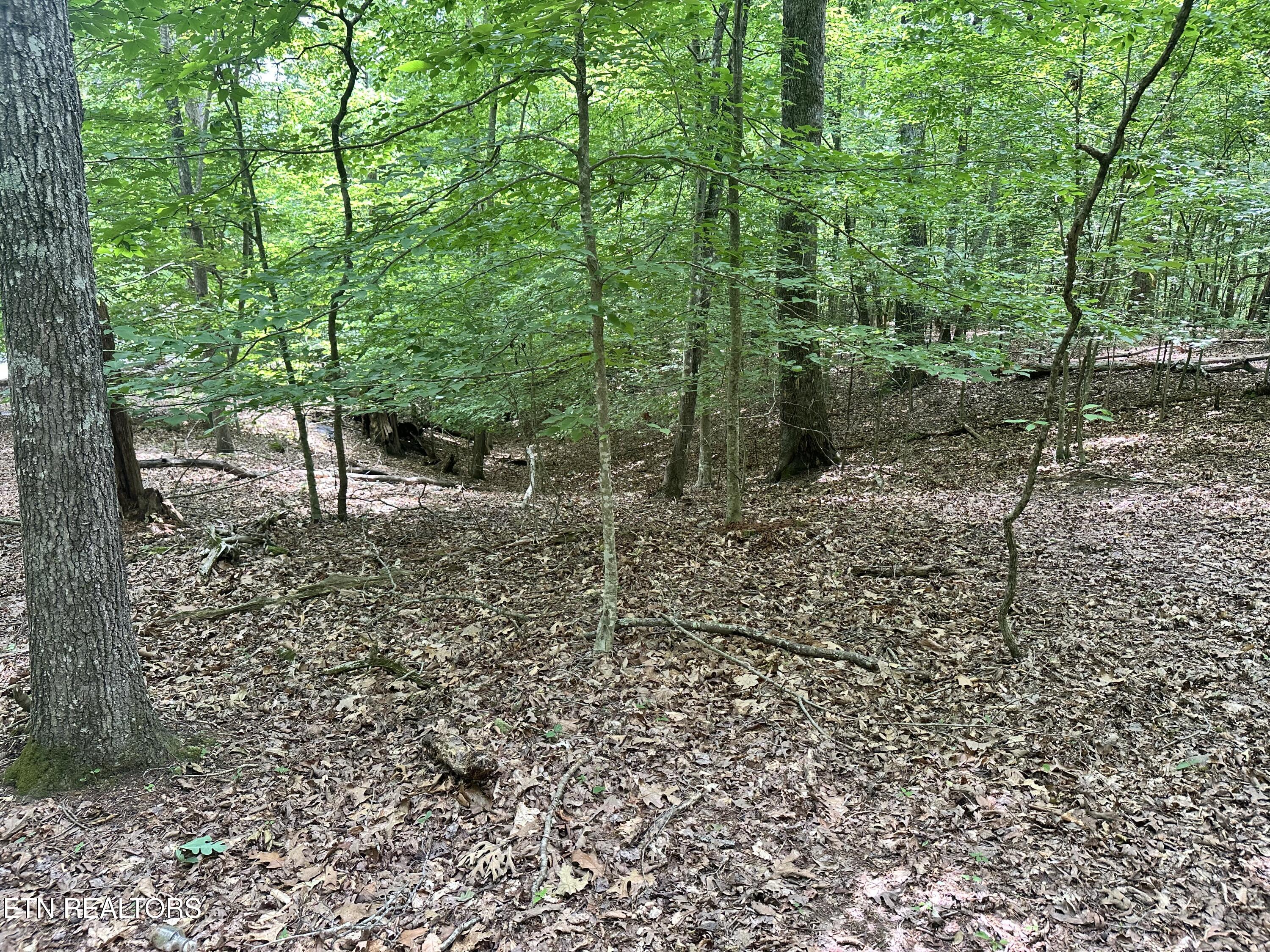 Woods Ridge Road Dandridge TN 37725