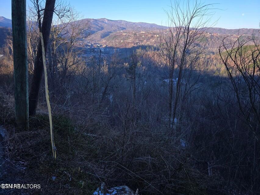 L 3 Tower Road Gatlinburg TN 37738