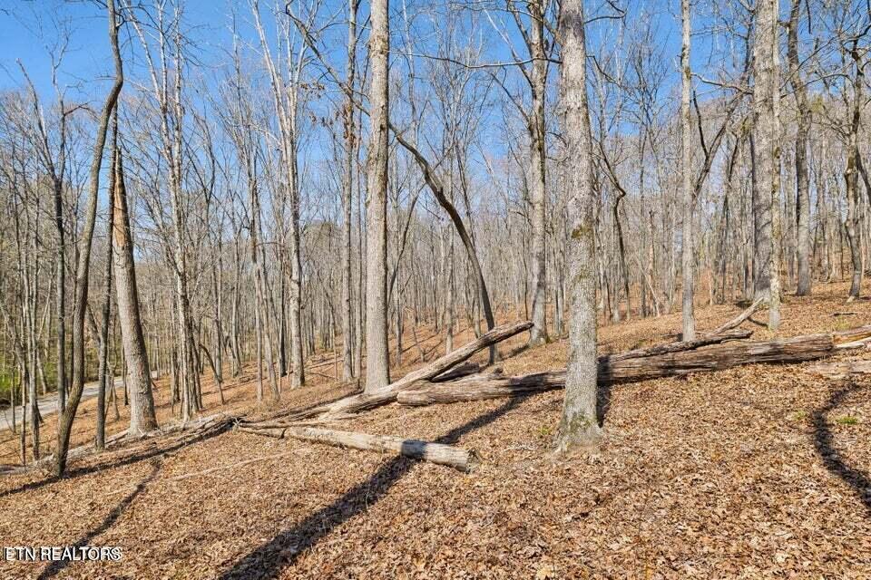 1300 Old Sugar Limb Road Loudon TN 37774