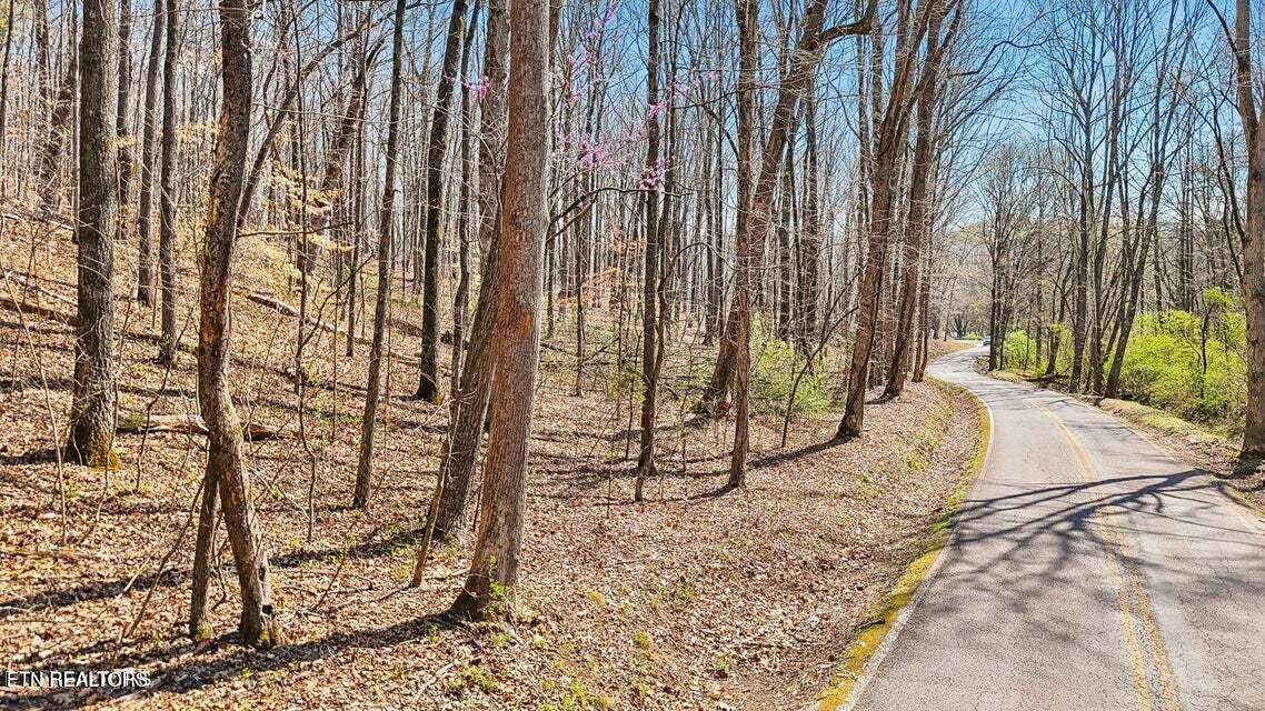 1300 Old Sugar Limb Road Loudon TN 37774
