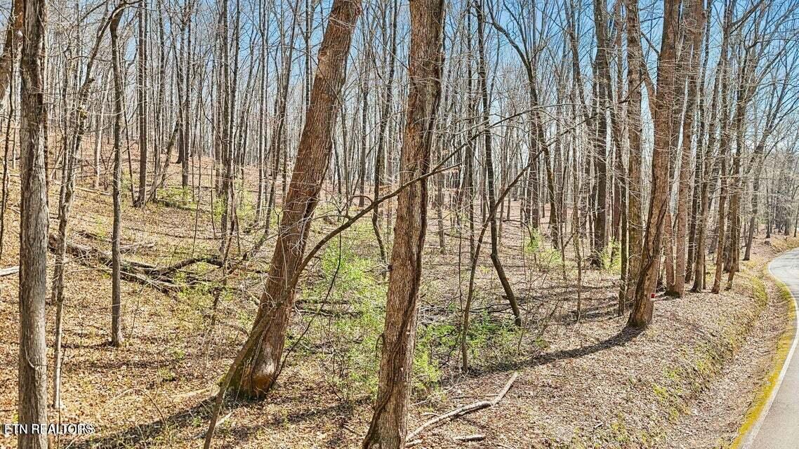 1300 Old Sugar Limb Road Loudon TN 37774