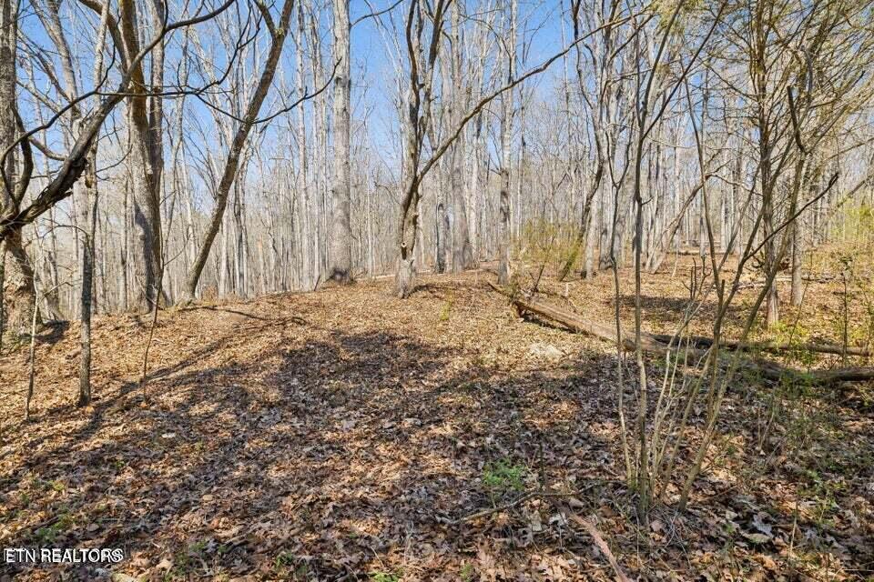 1300 Old Sugar Limb Road Loudon TN 37774