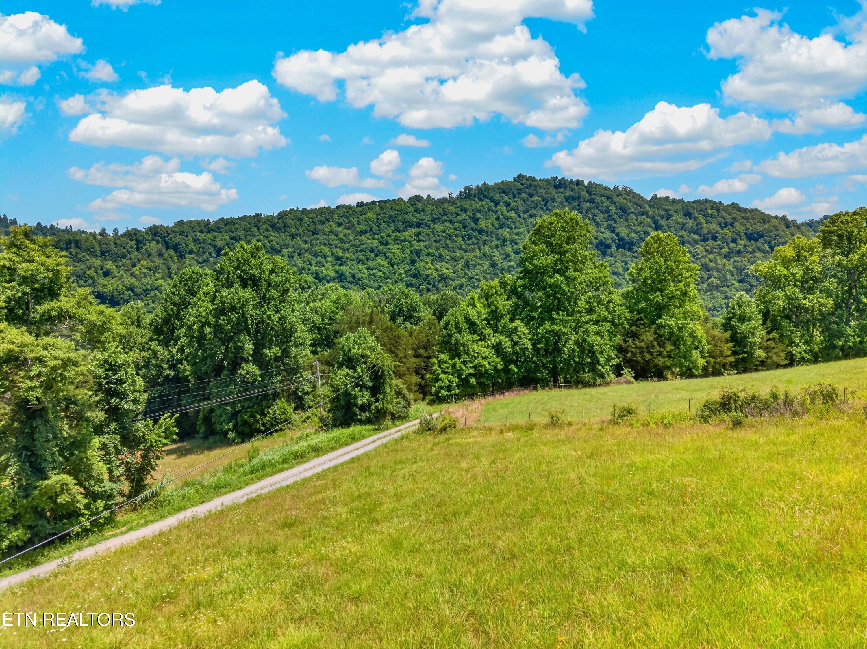 Tbd Ferguson Ridge Road Tazewell TN 37879