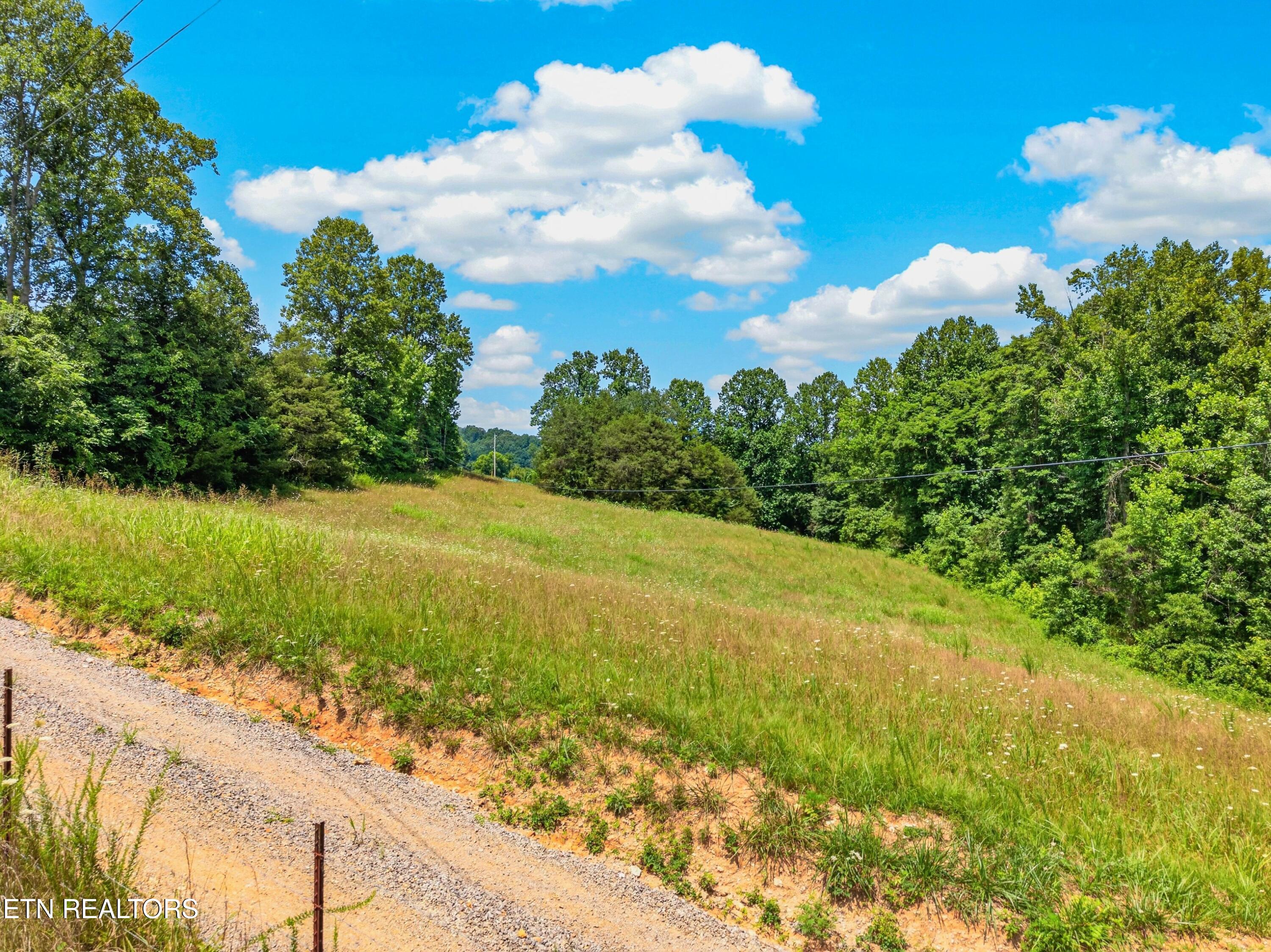 Tbd Ferguson Ridge Road Tazewell TN 37879