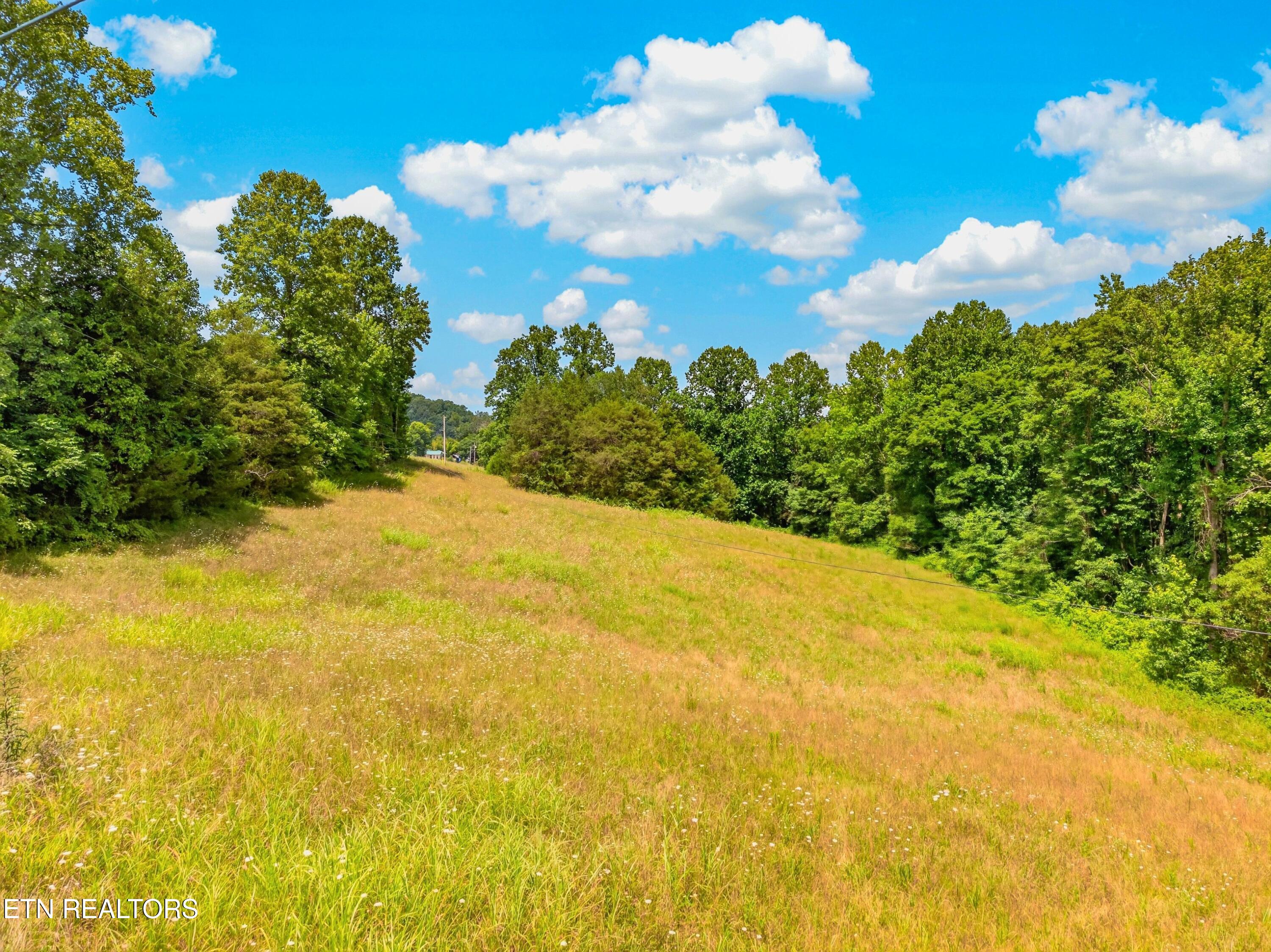 Tbd Ferguson Ridge Road Tazewell TN 37879