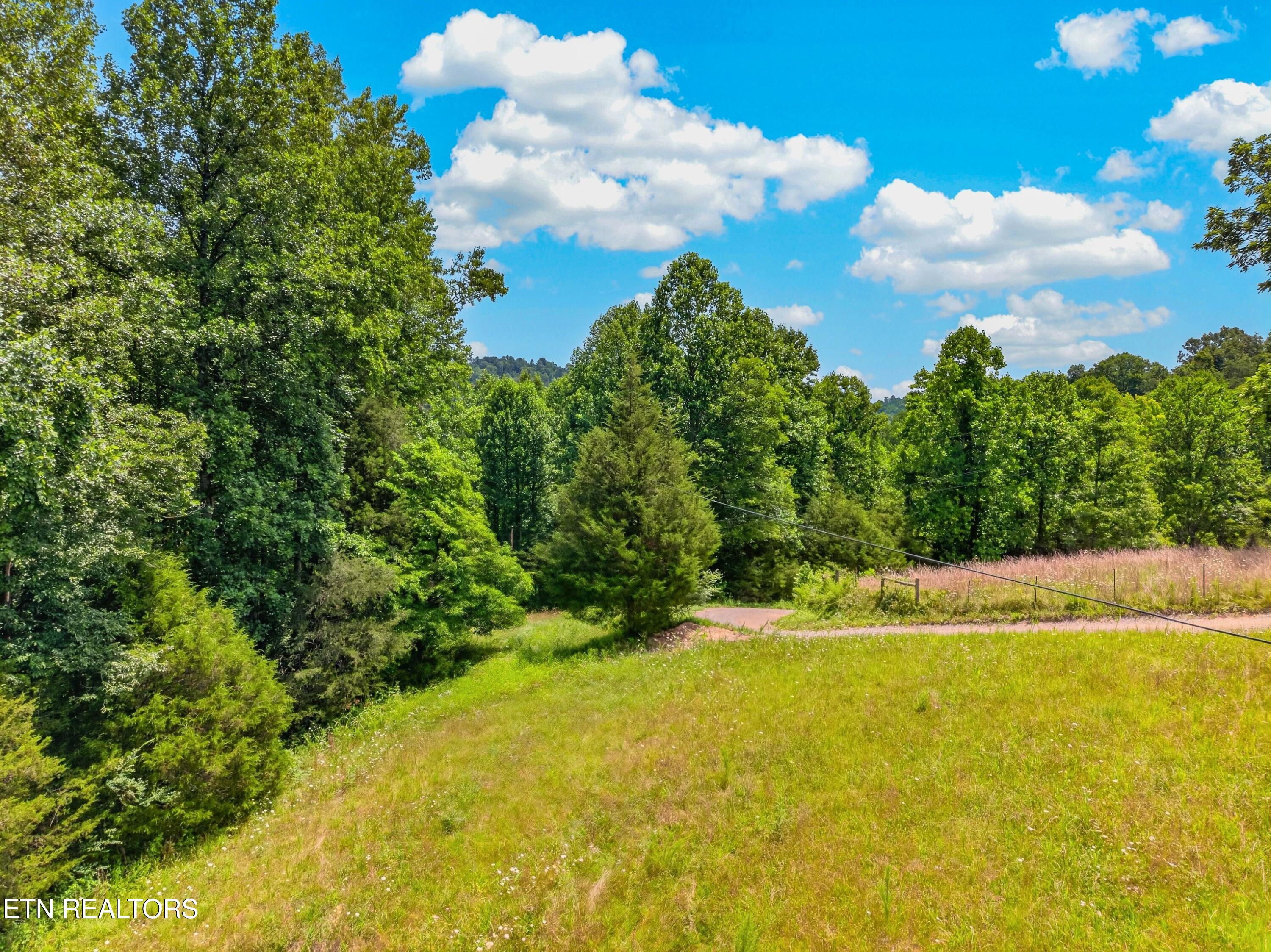 Tbd Ferguson Ridge Road Tazewell TN 37879