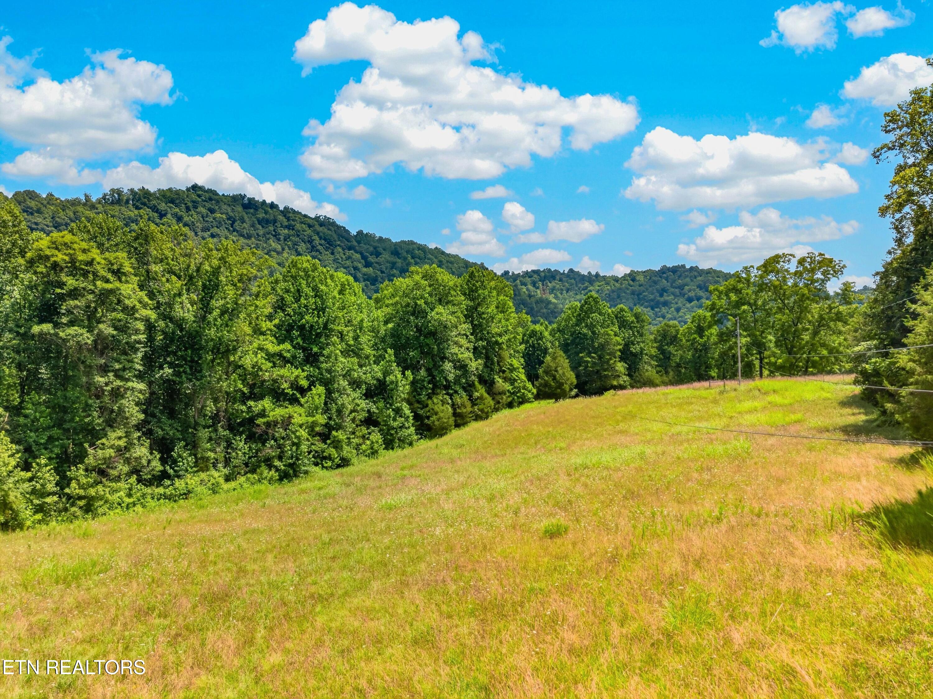 Tbd Ferguson Ridge Road Tazewell TN 37879