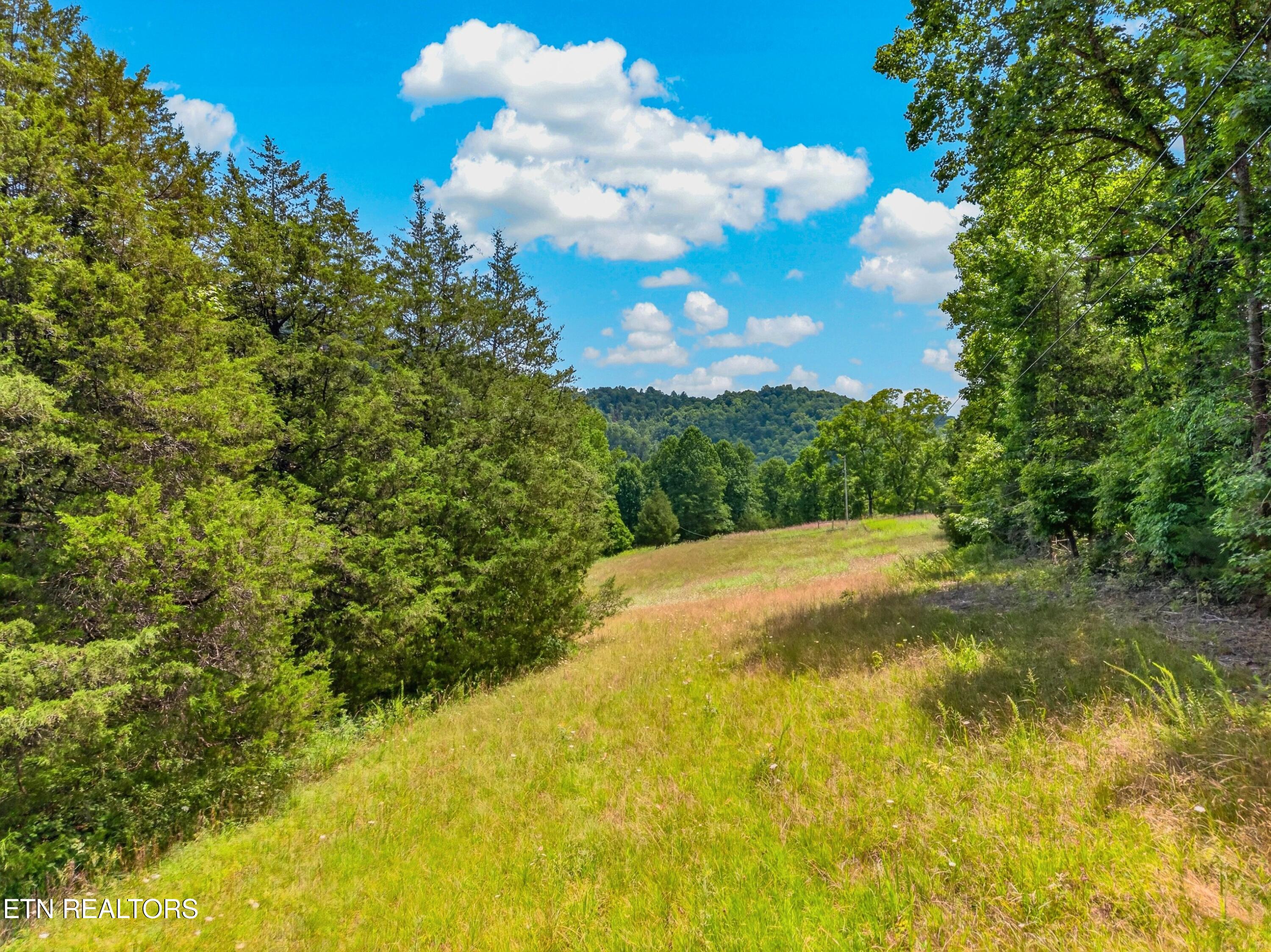 Tbd Ferguson Ridge Road Tazewell TN 37879