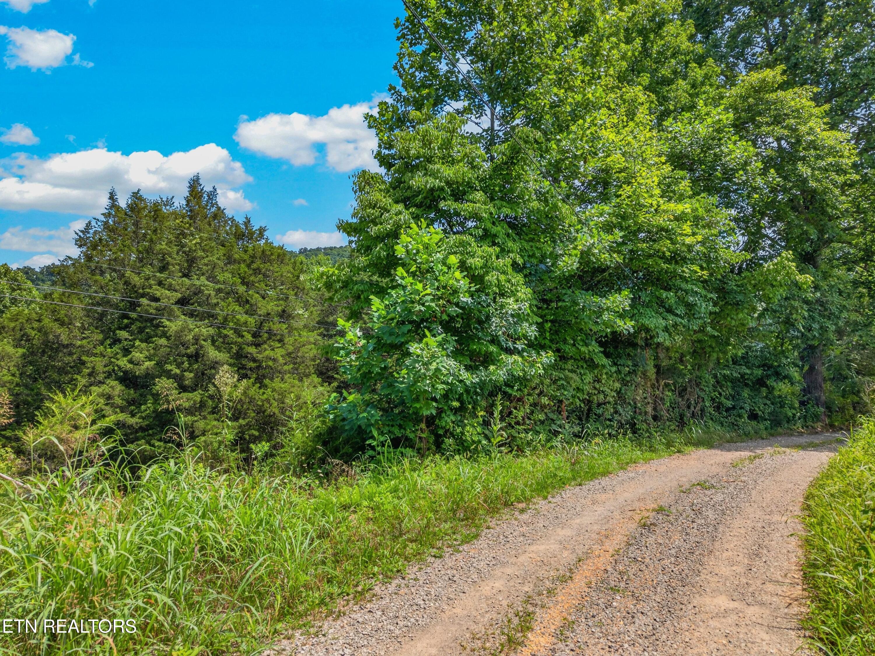 Tbd Ferguson Ridge Road Tazewell TN 37879