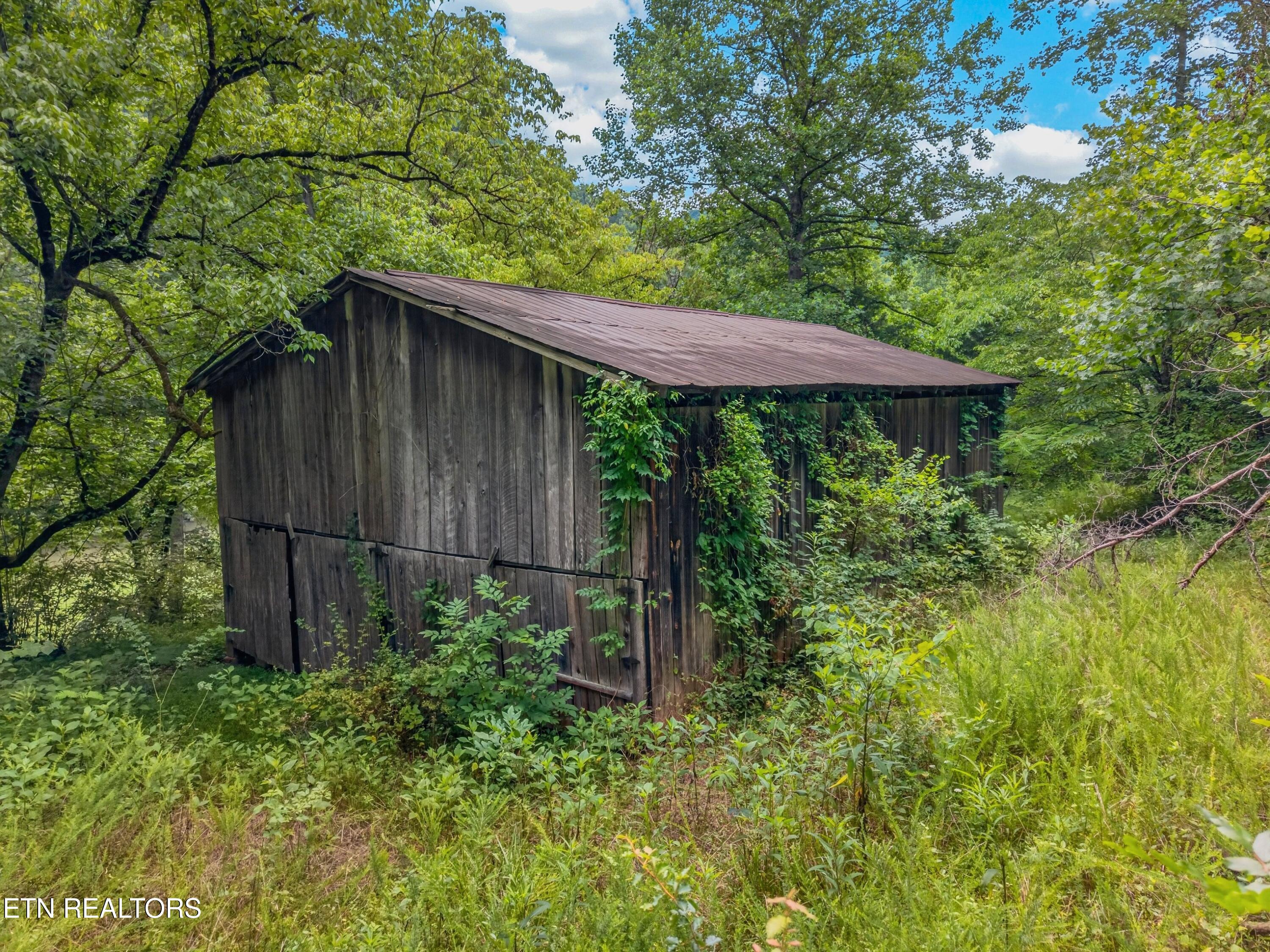 Tbd Ferguson Ridge Road Tazewell TN 37879