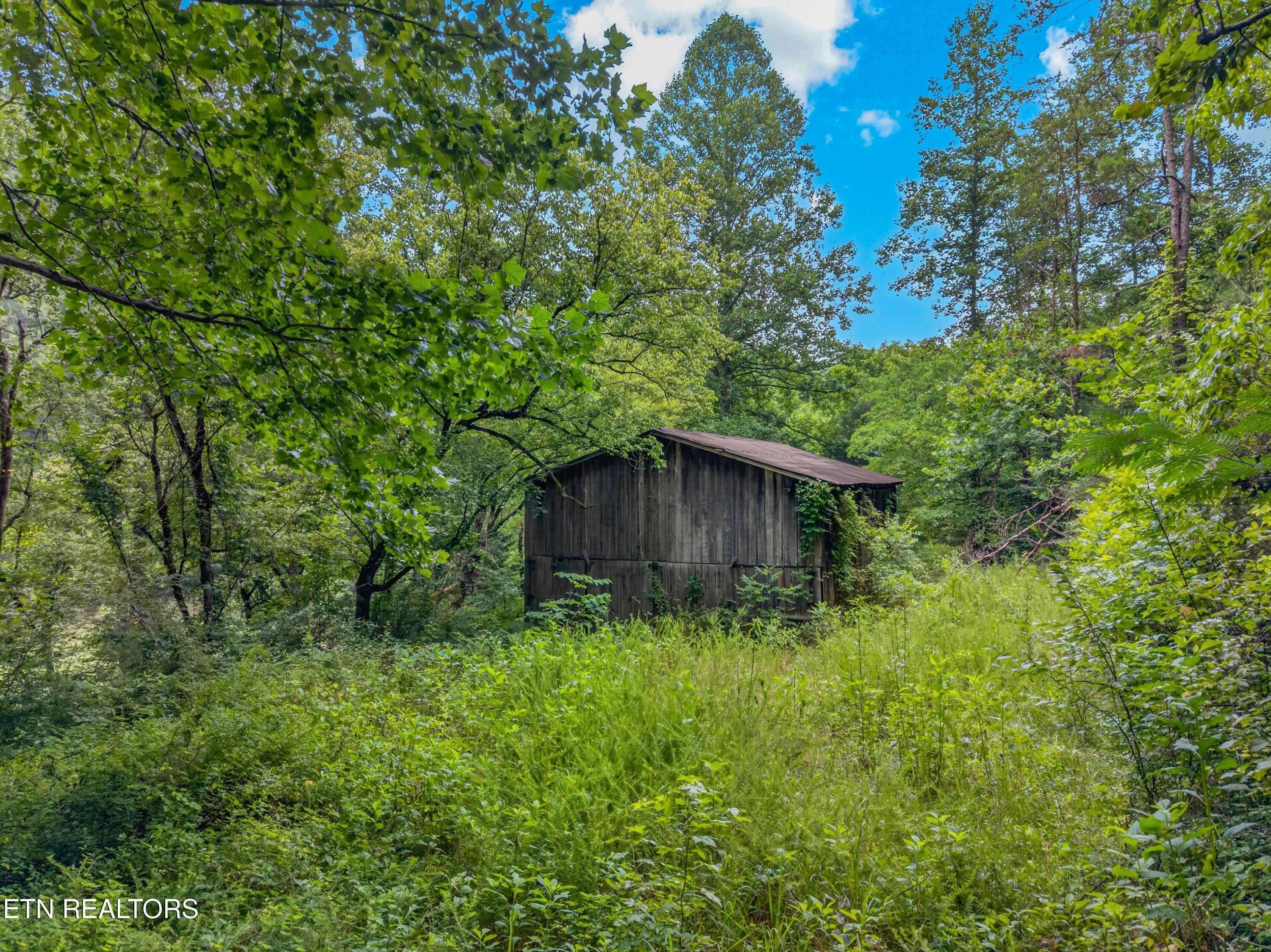 Tbd Ferguson Ridge Road Tazewell TN 37879
