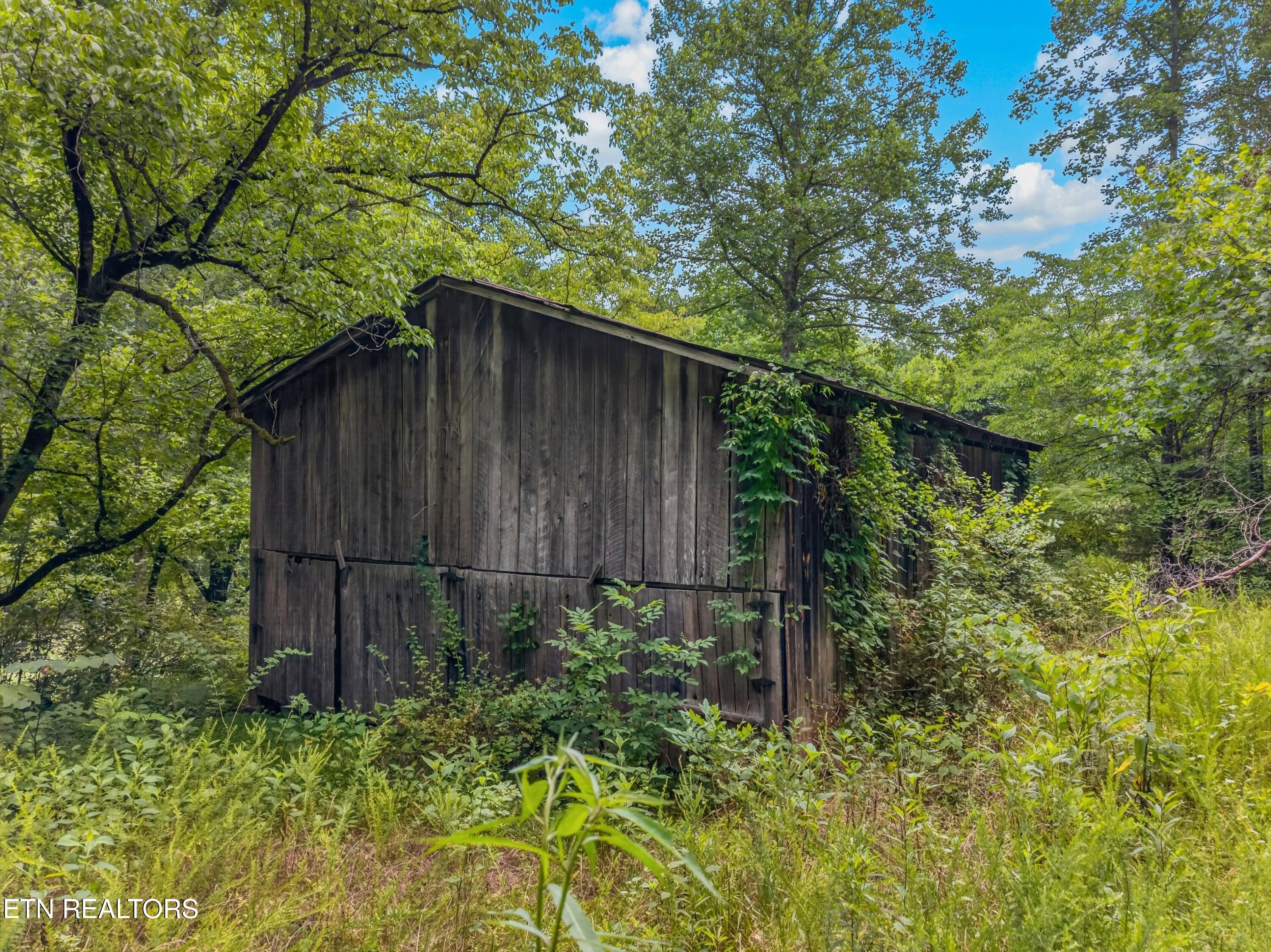Tbd Ferguson Ridge Road Tazewell TN 37879