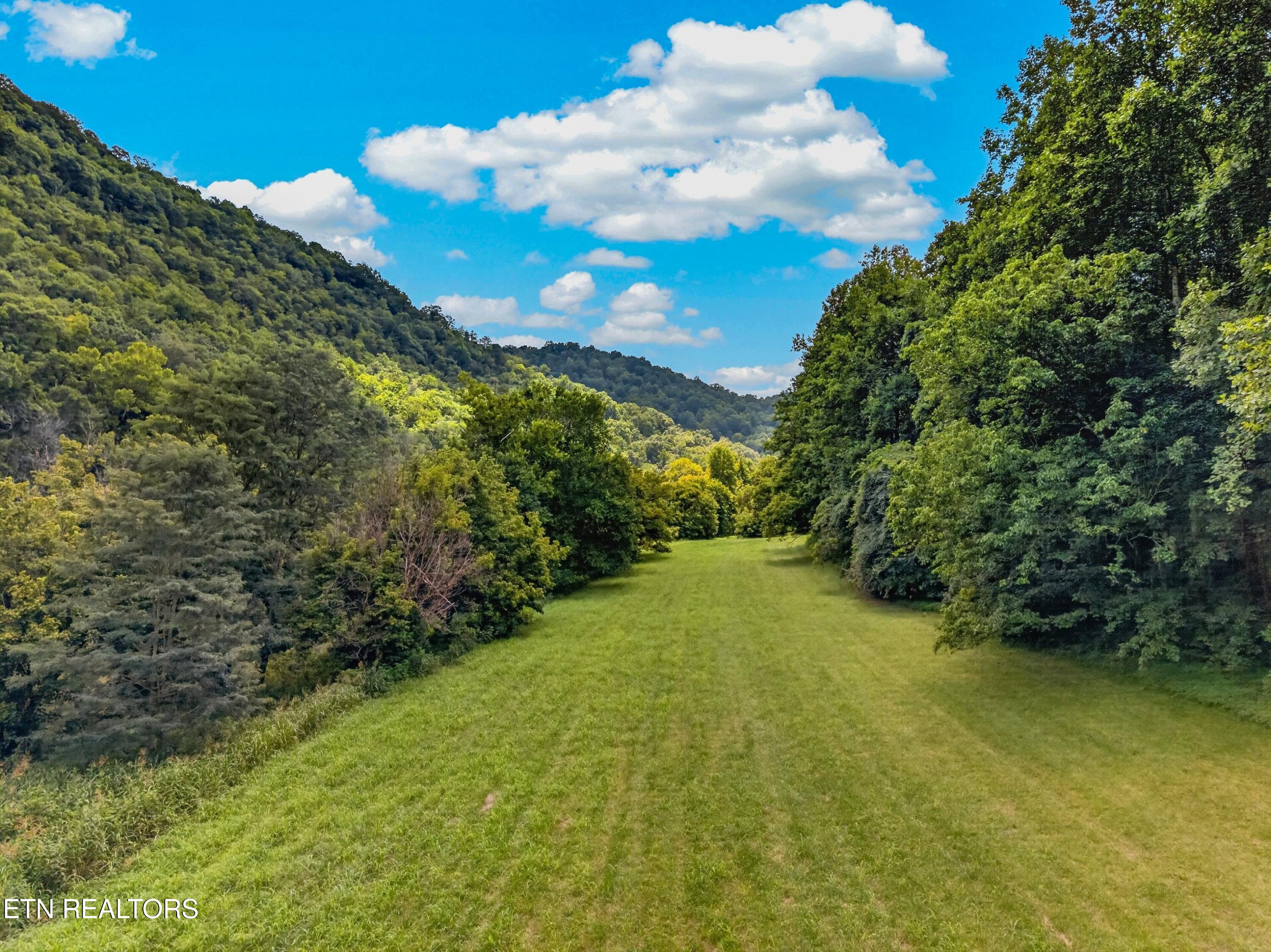 Tbd Ferguson Ridge Road Tazewell TN 37879