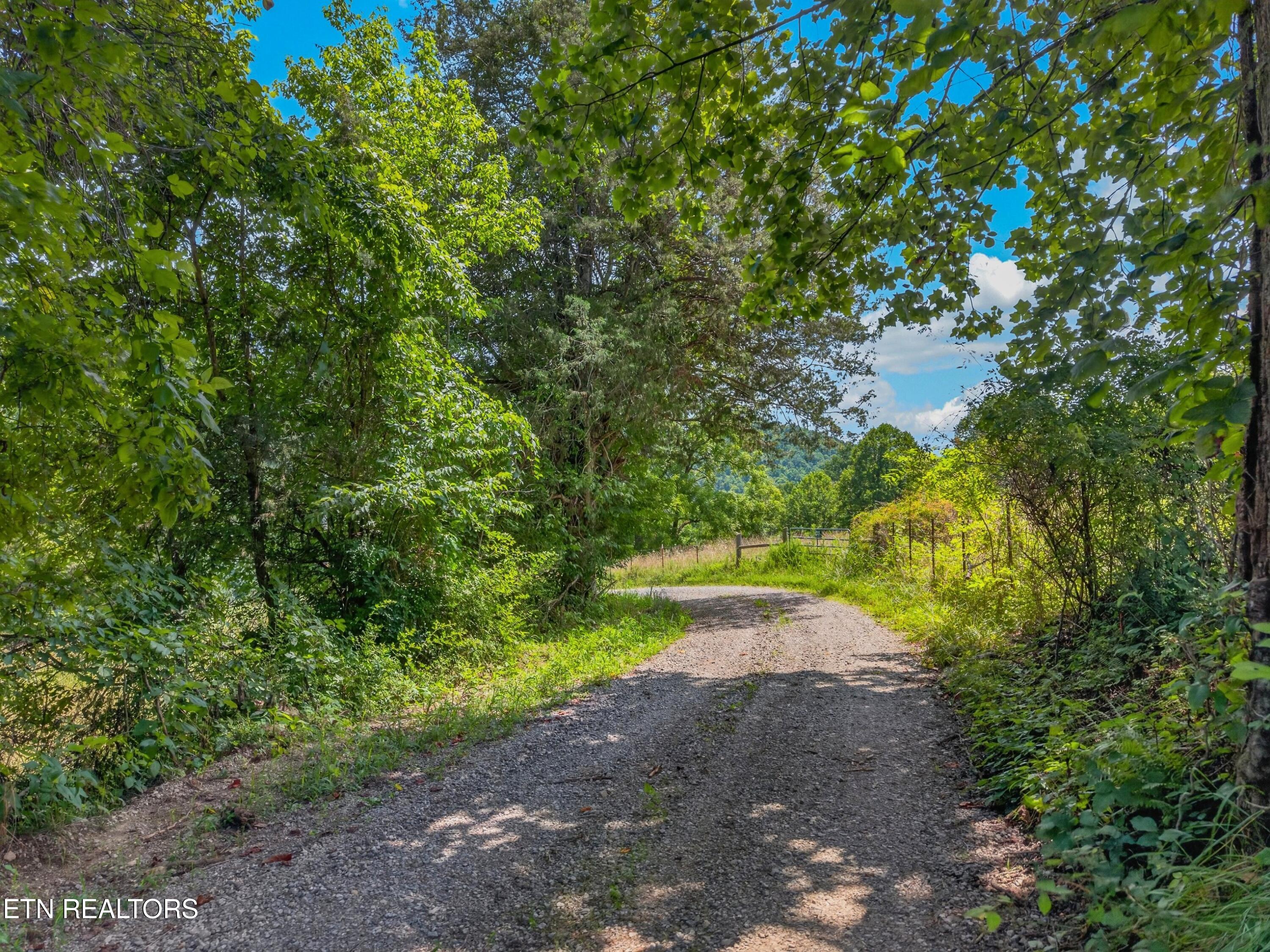 Tbd Ferguson Ridge Road Tazewell TN 37879