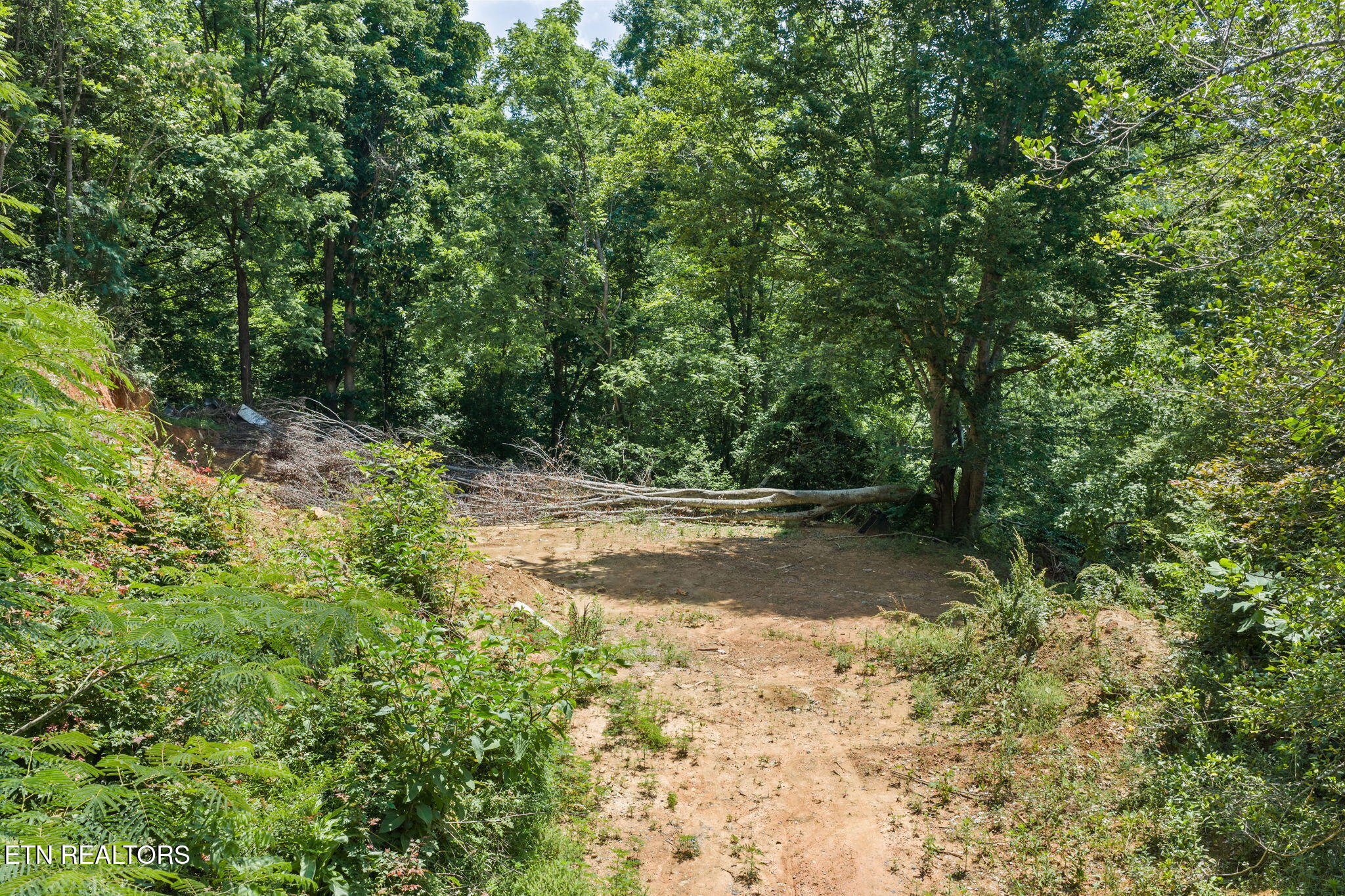 520 Verless Ogle Road Sevierville TN 37876