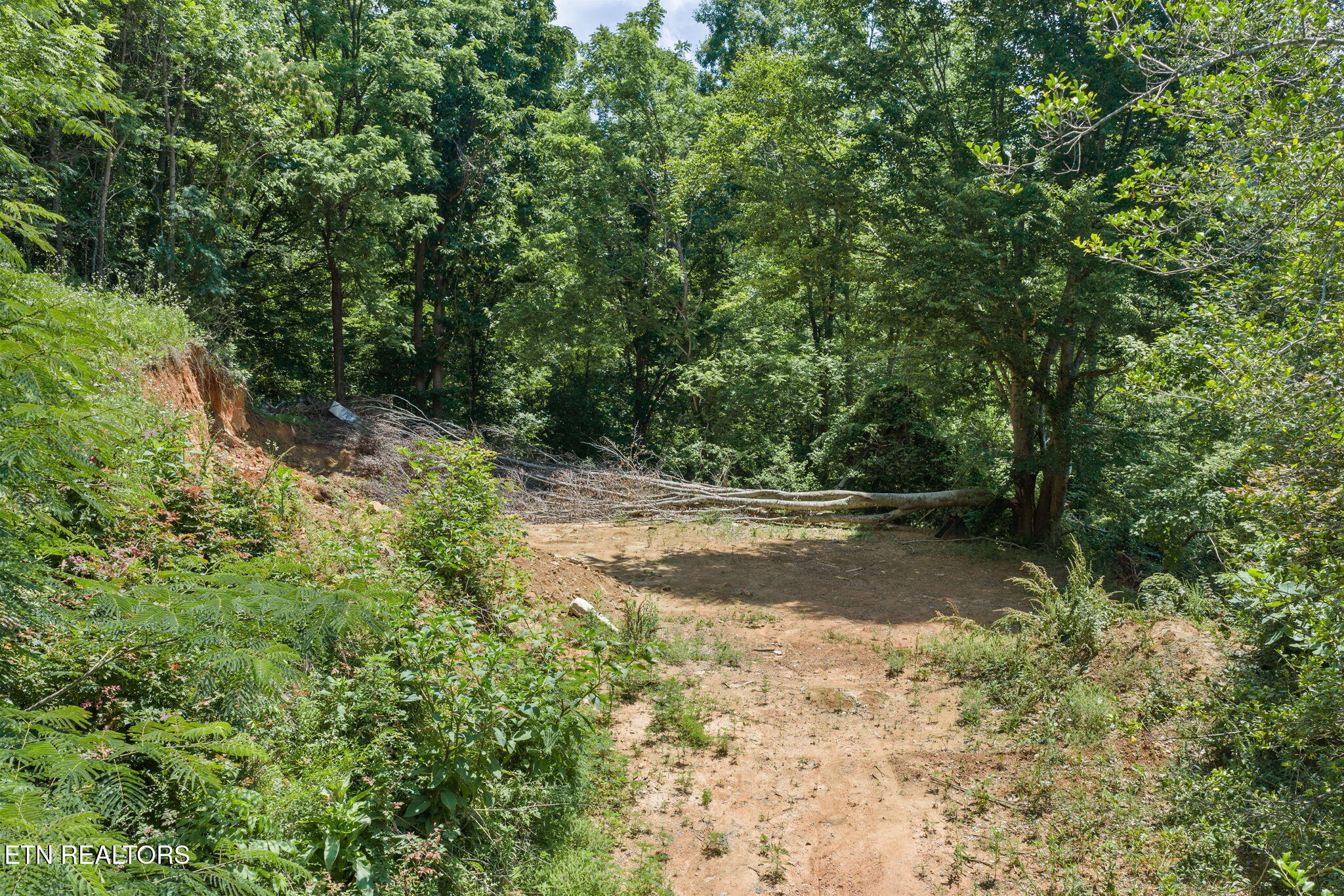 520 Verless Ogle Road Sevierville TN 37876