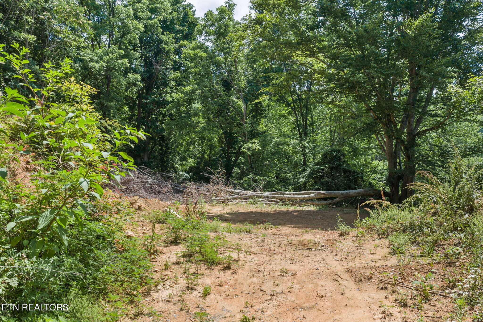 520 Verless Ogle Road Sevierville TN 37876