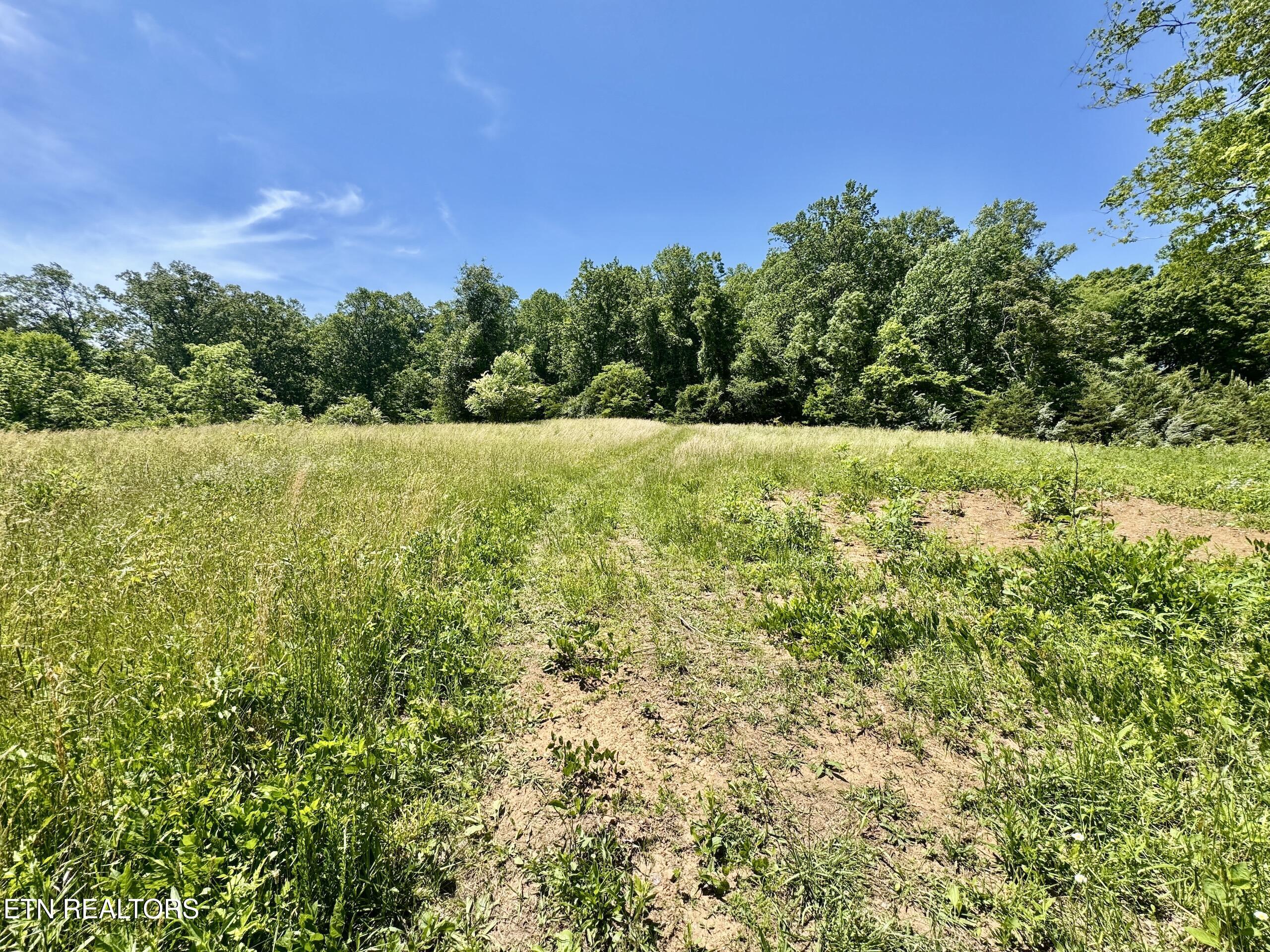 Ridgeview Drive Clinton TN 37716