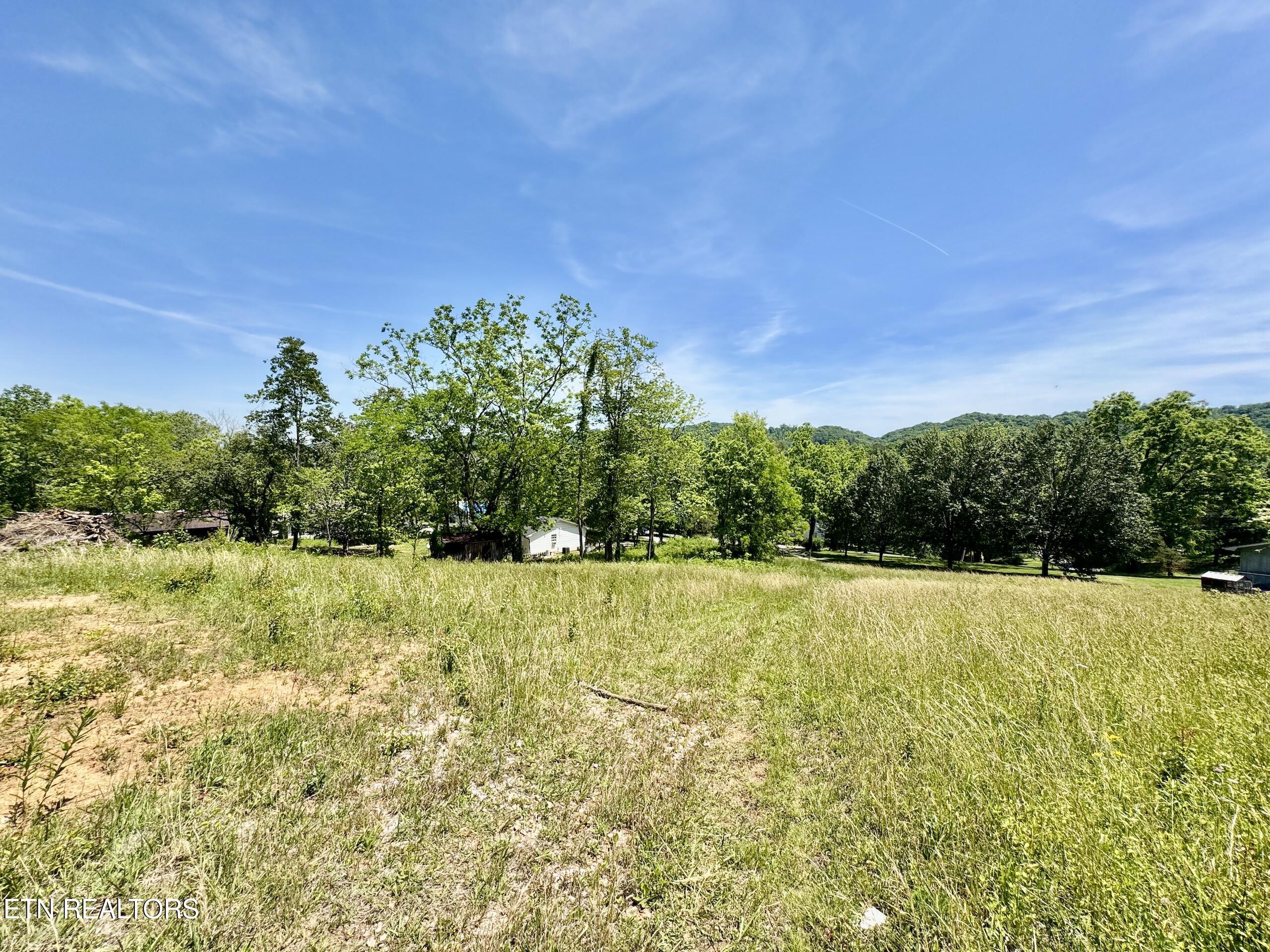 Ridgeview Drive Clinton TN 37716