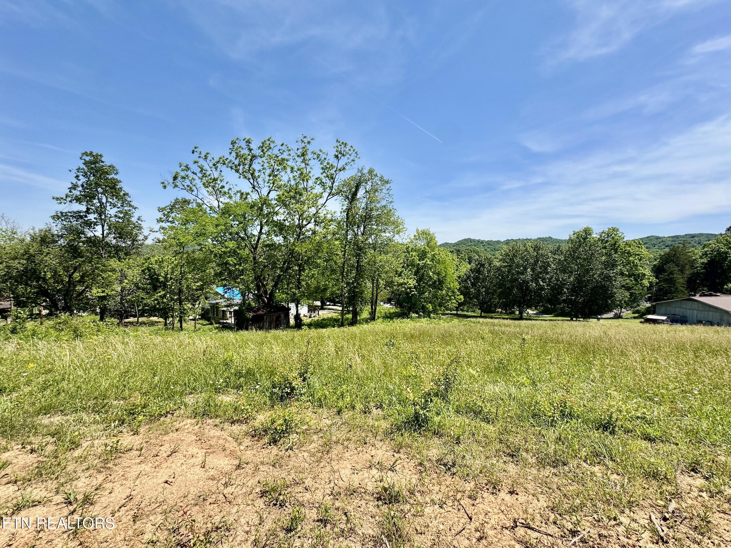Ridgeview Drive Clinton TN 37716