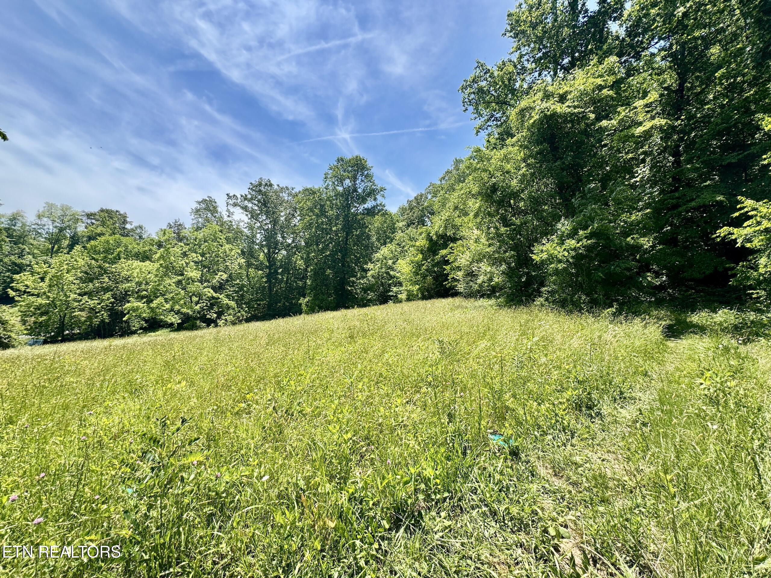 Ridgeview Drive Clinton TN 37716