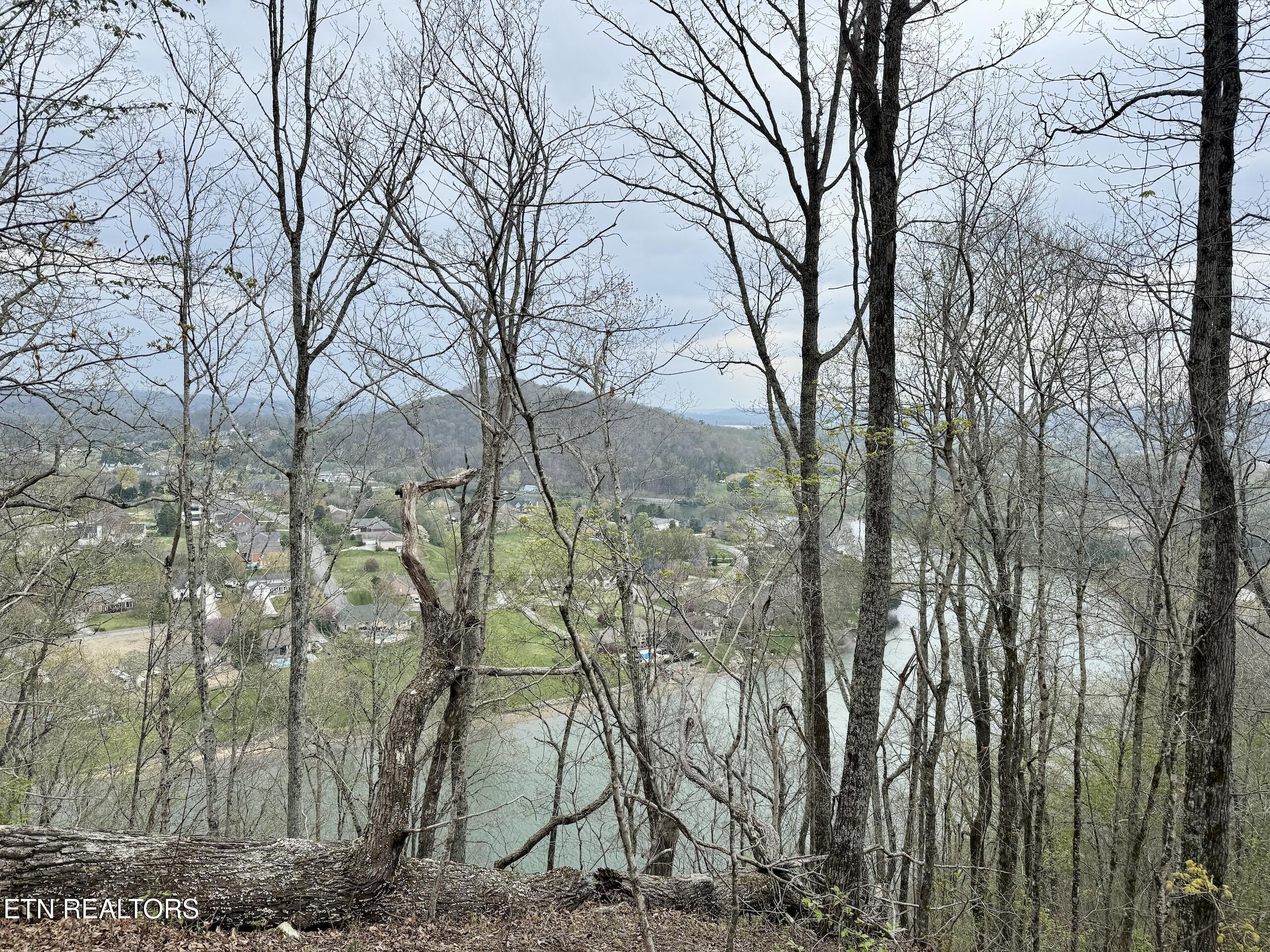 Ridgeview Drive Clinton TN 37716