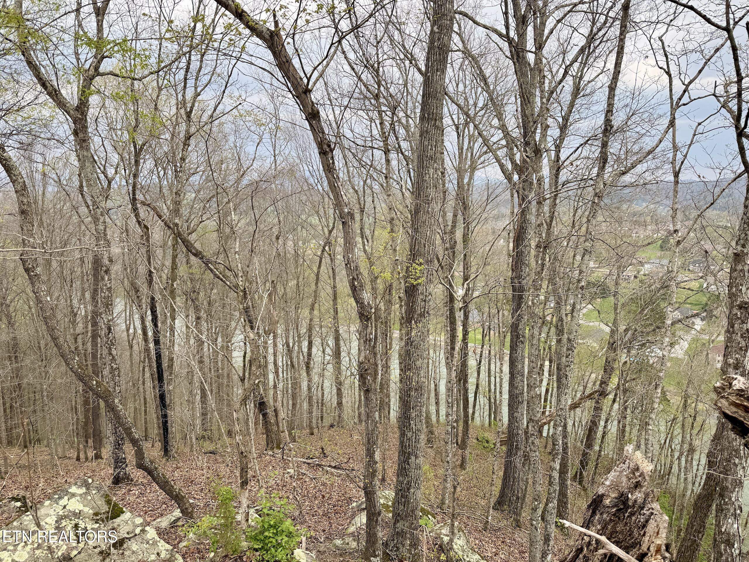 Ridgeview Drive Clinton TN 37716