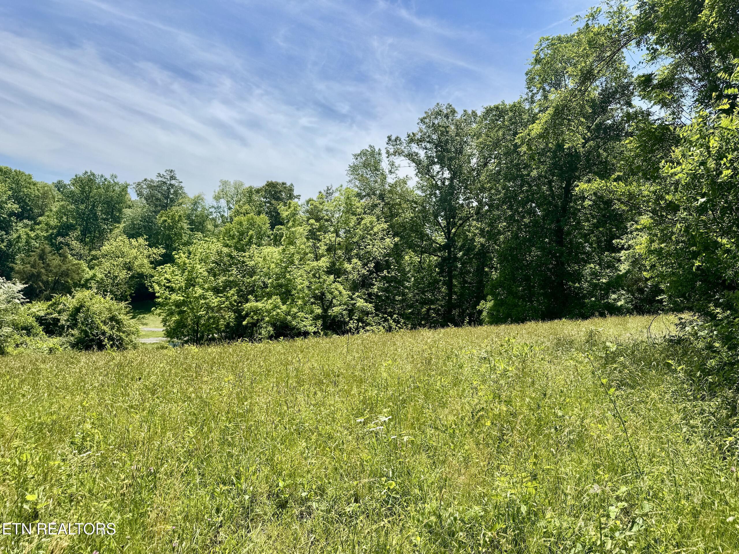 Ridgeview Drive Clinton TN 37716