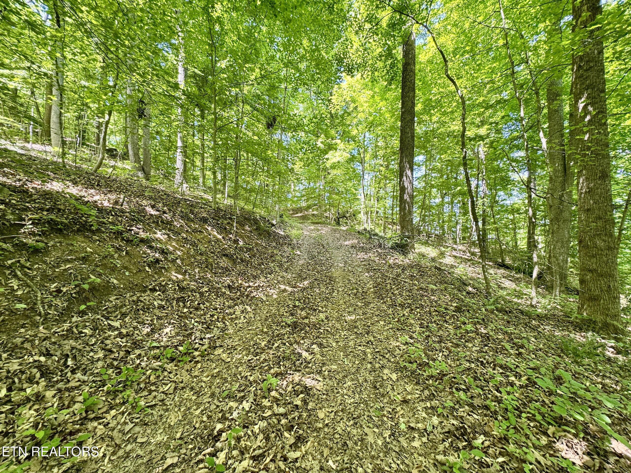 Ridgeview Drive Clinton TN 37716
