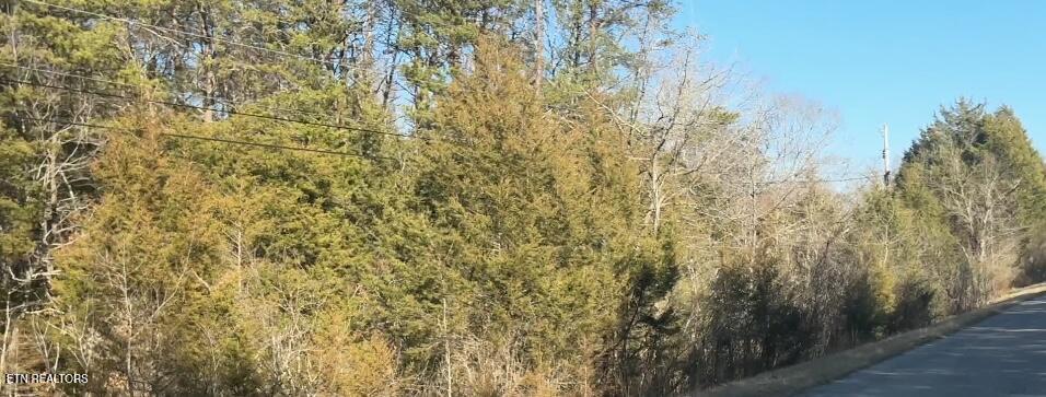 0 Alex Bales Road Lot 1 Road Kodak TN 37764
