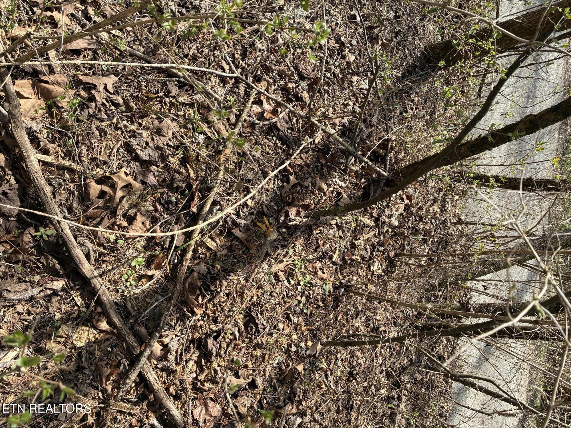0 Alex Bales Road Lot 1 Road Kodak TN 37764