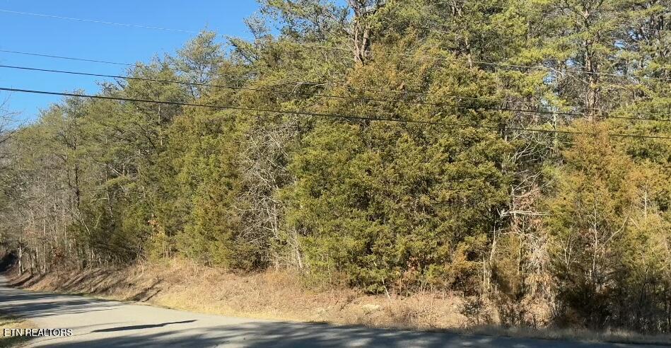 0 Alex Bales Road Lot 1 Road Kodak TN 37764