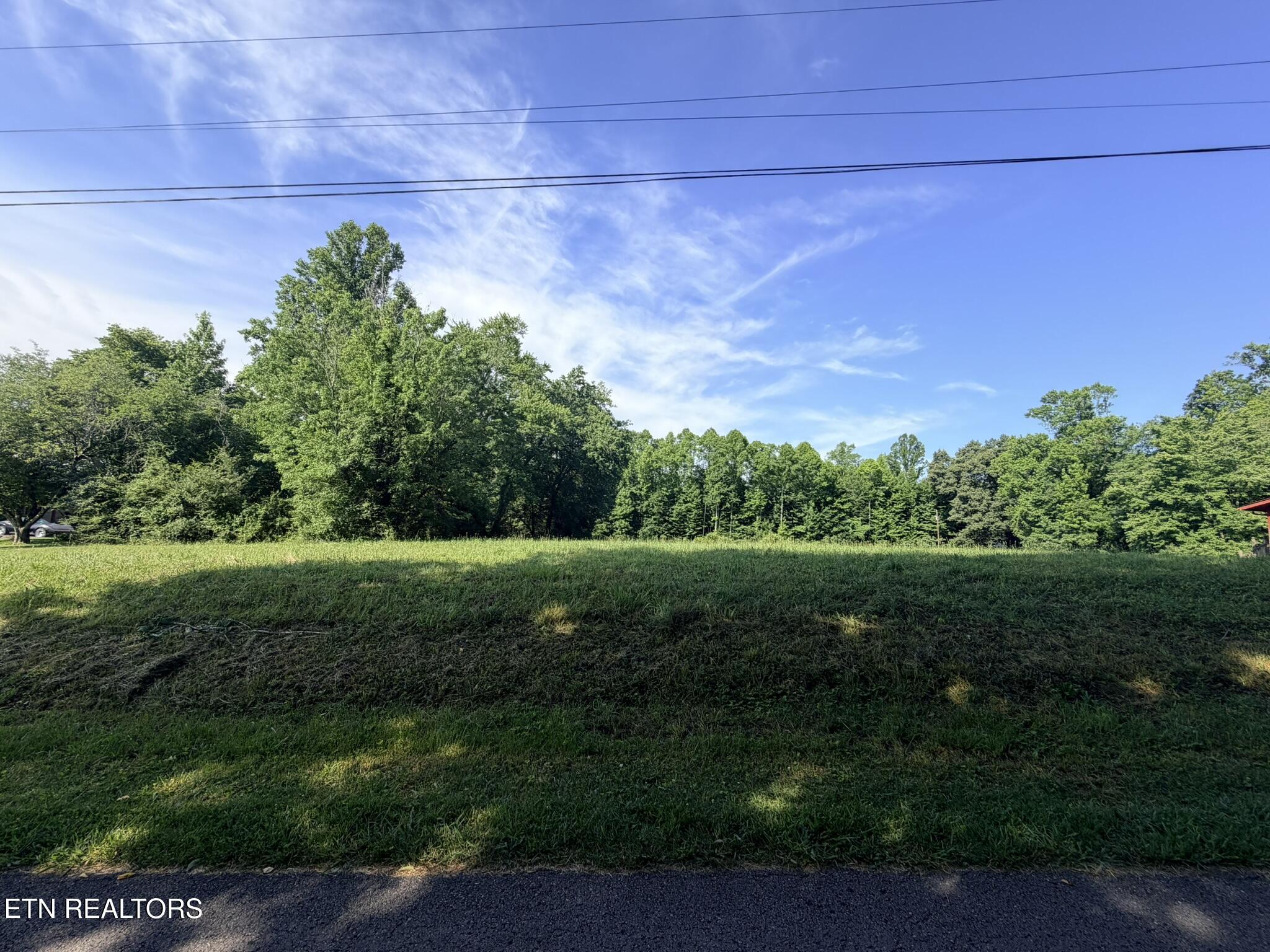 0 Dogwood Avenue Oneida TN 37841