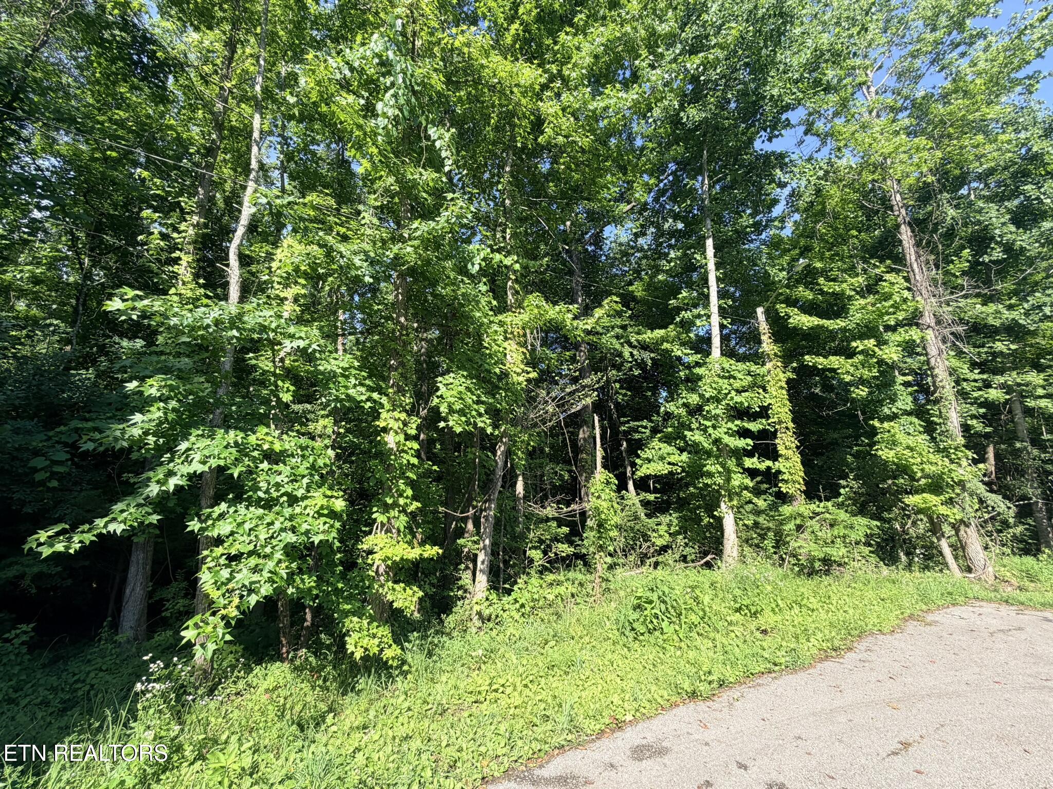 0 Dogwood Avenue Oneida TN 37841