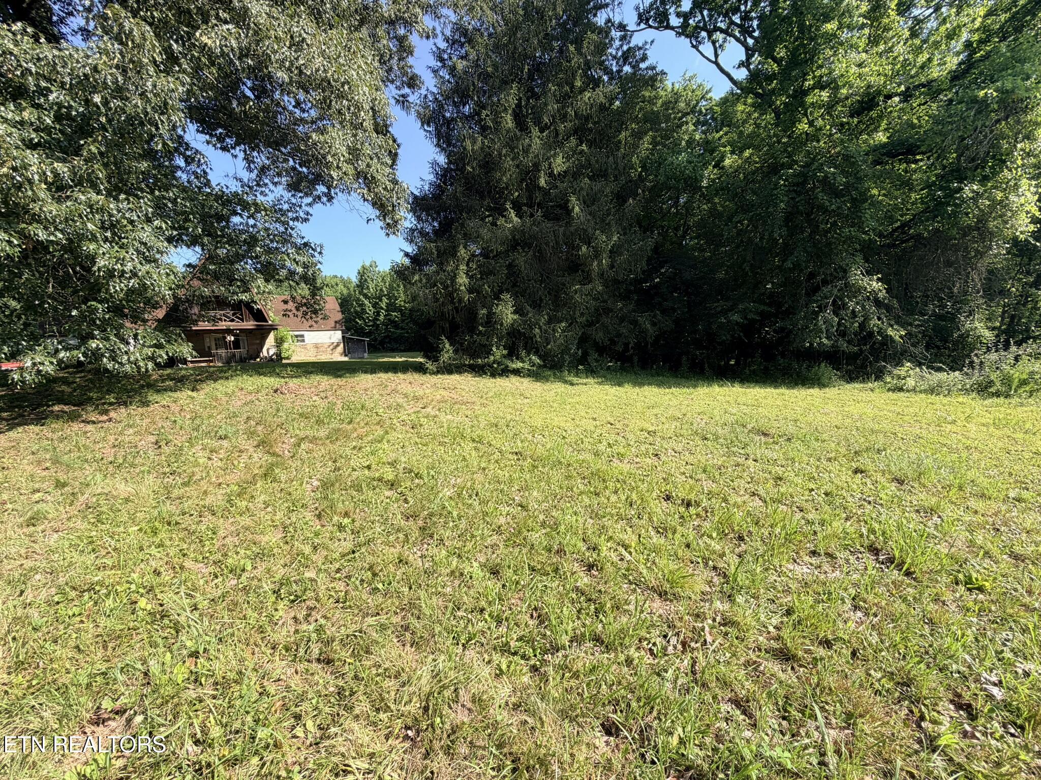0 Dogwood Avenue Oneida TN 37841